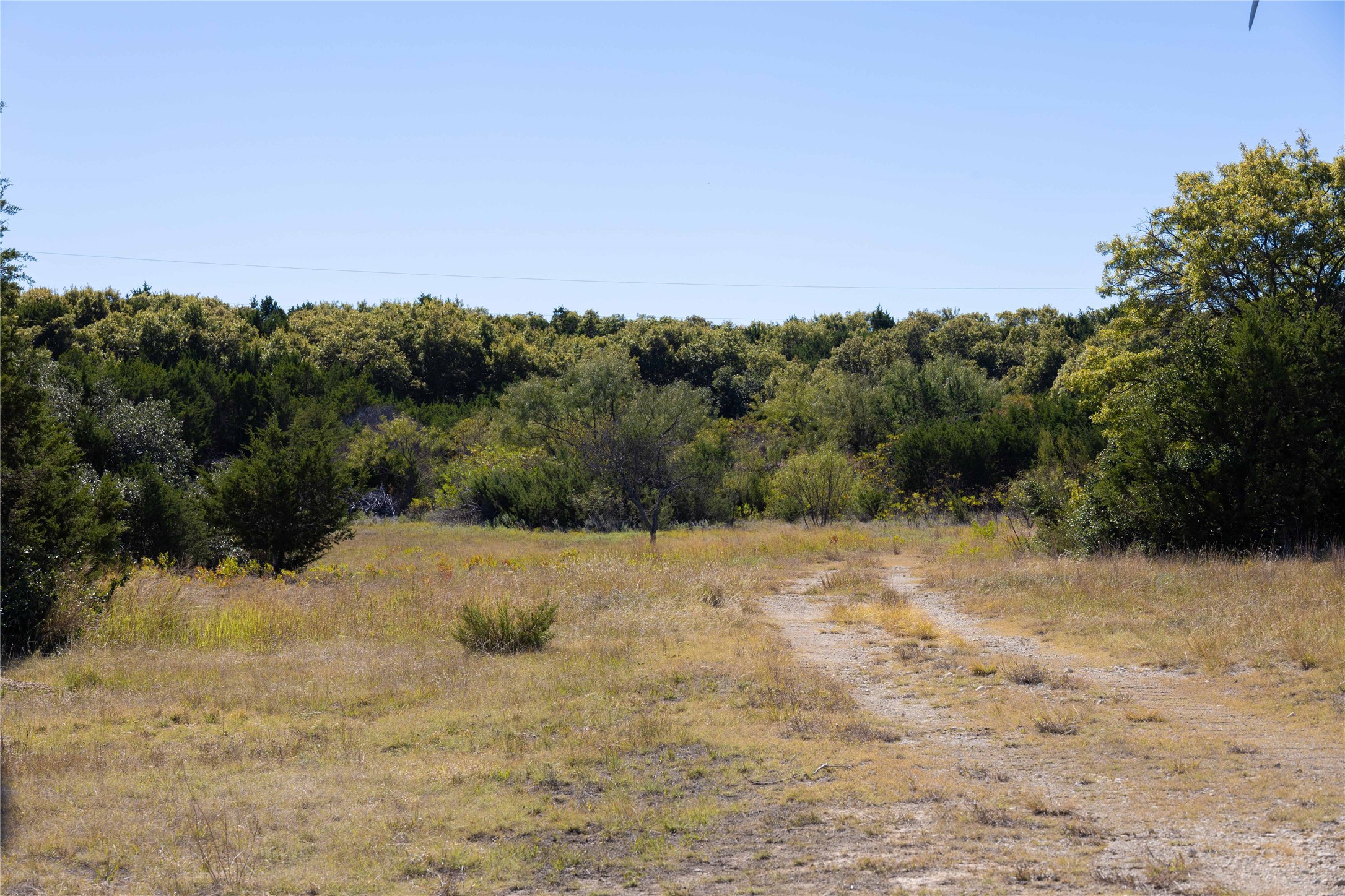 52 Acres Cr-407 Road Cross Plains TX 75232