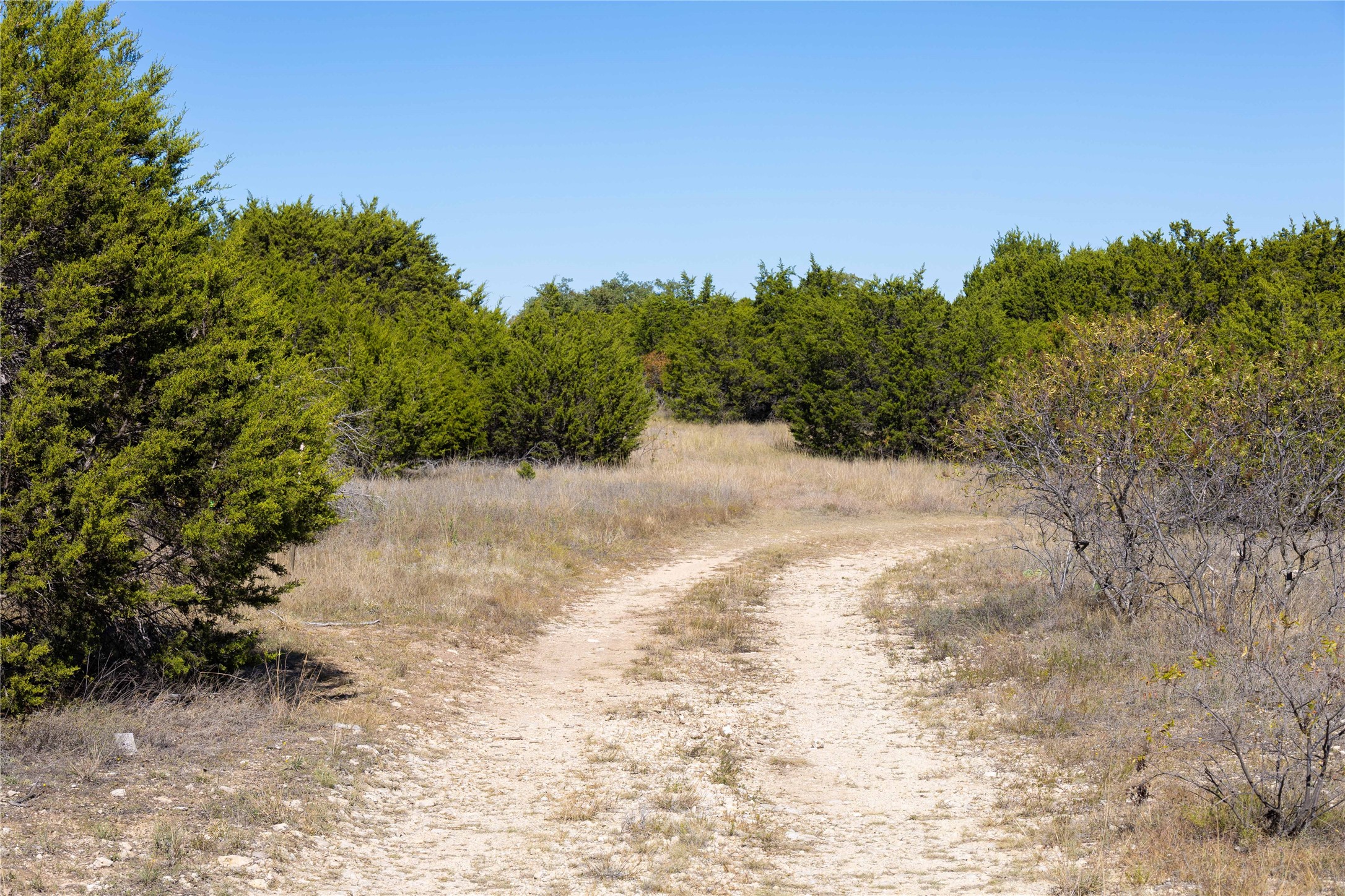 52 Acres Cr-407 Road Cross Plains TX 75232