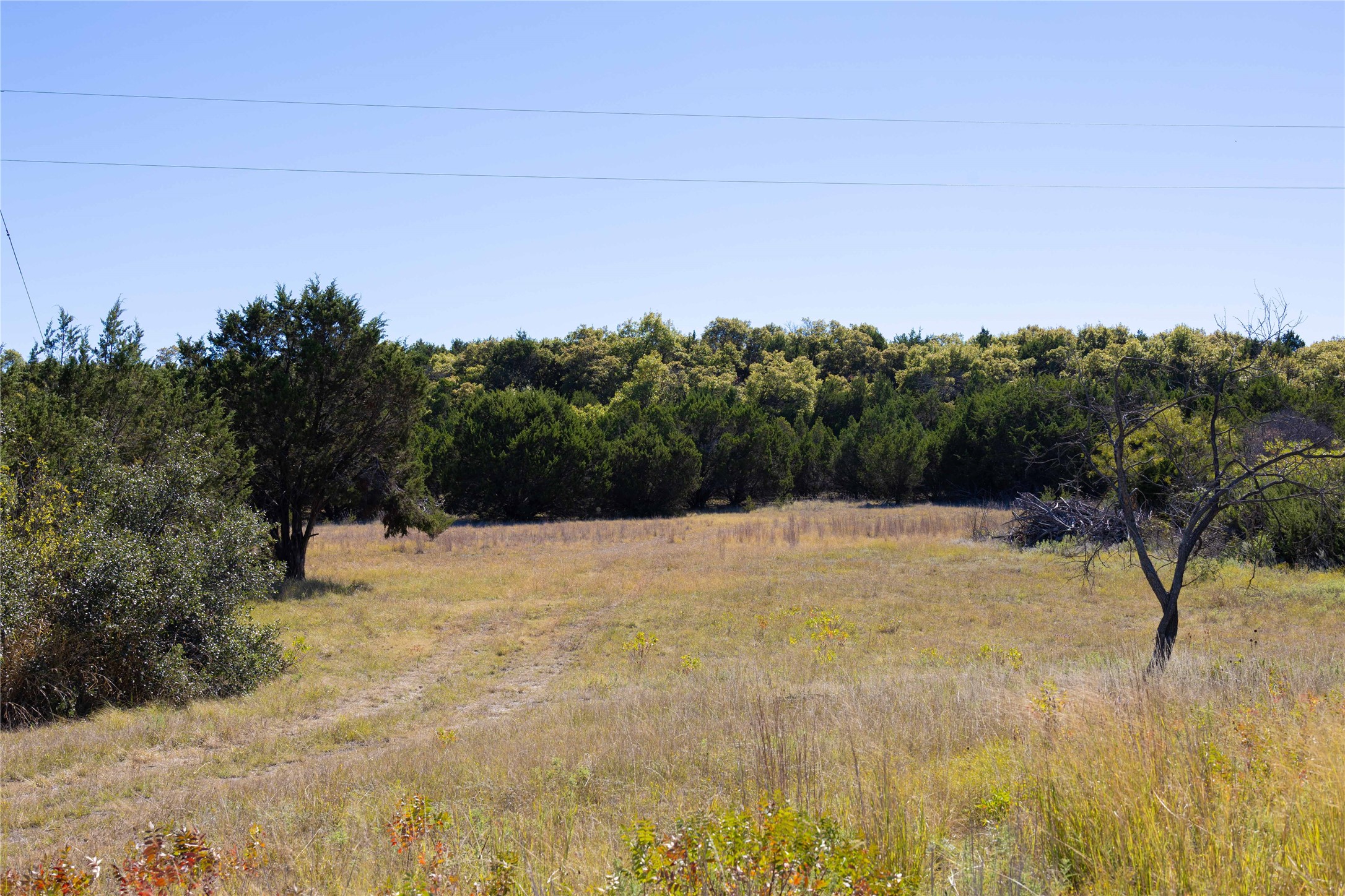 52 Acres Cr-407 Road Cross Plains TX 75232