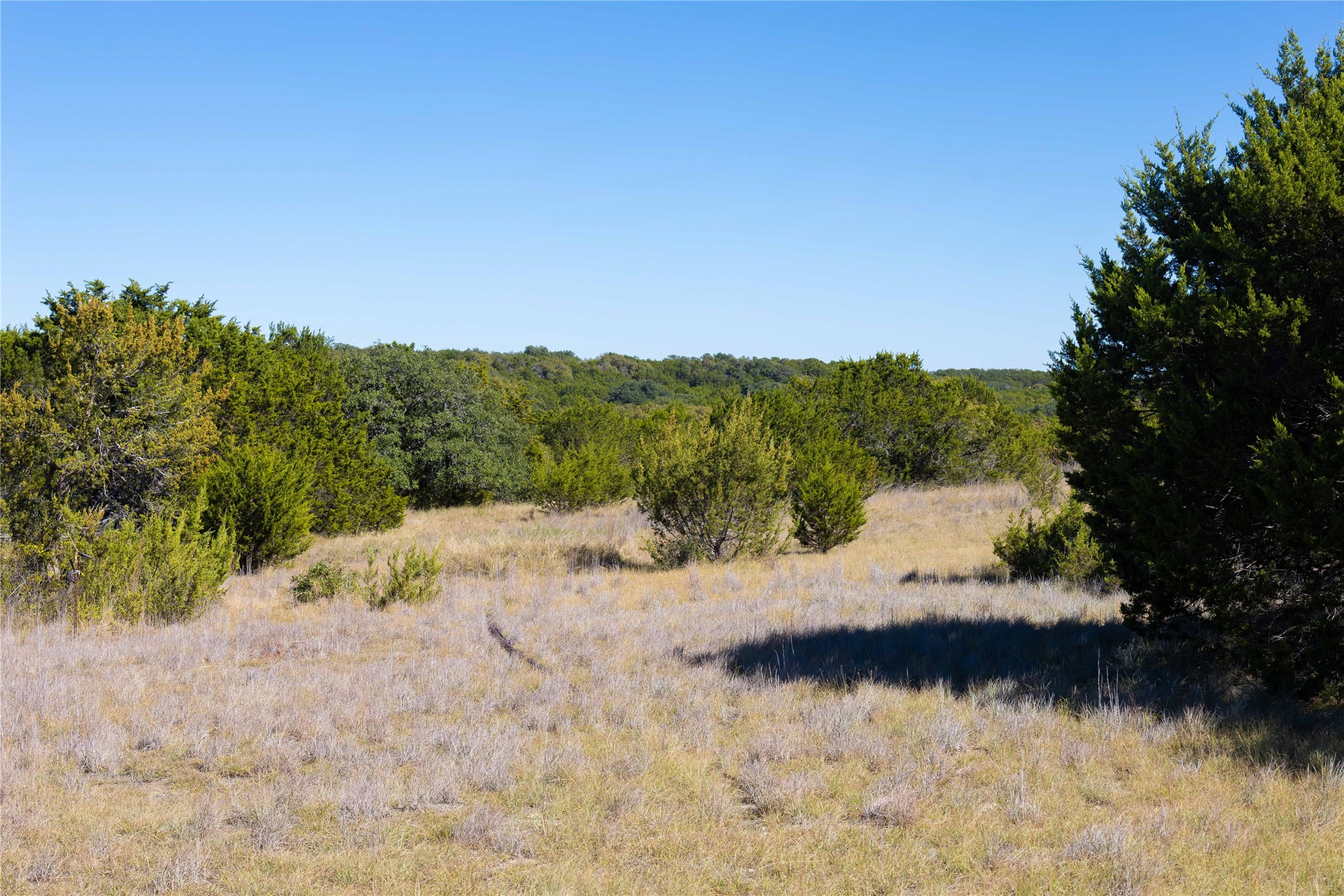 52 Acres Cr-407 Road Cross Plains TX 75232