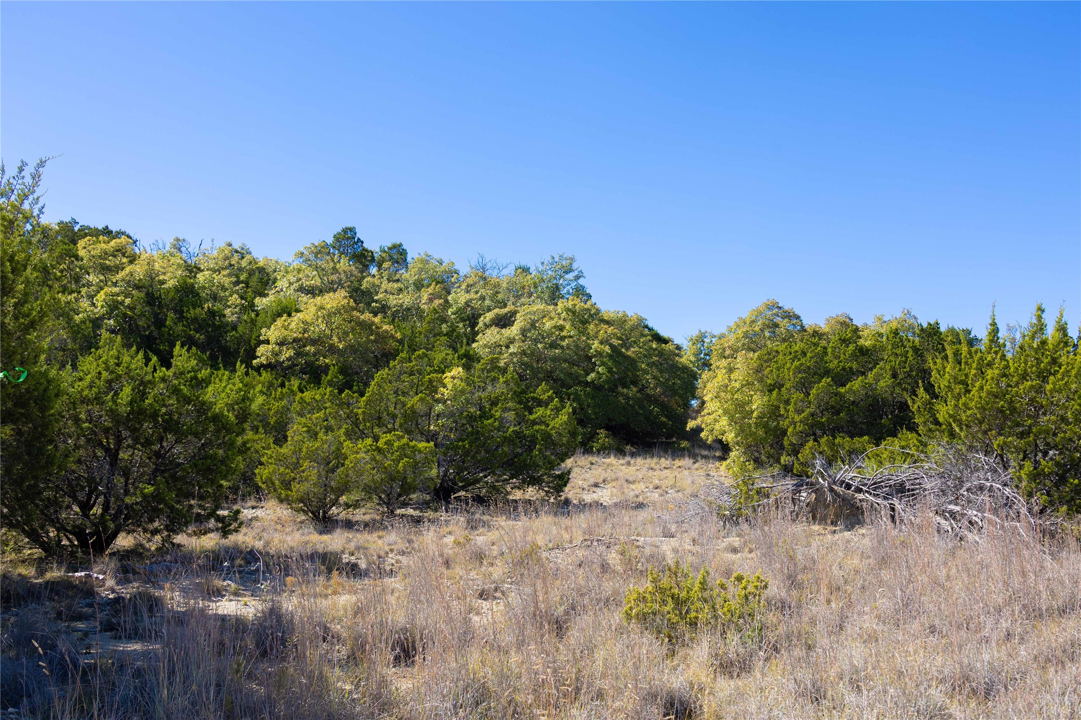 52 Acres Cr-407 Road Cross Plains TX 75232