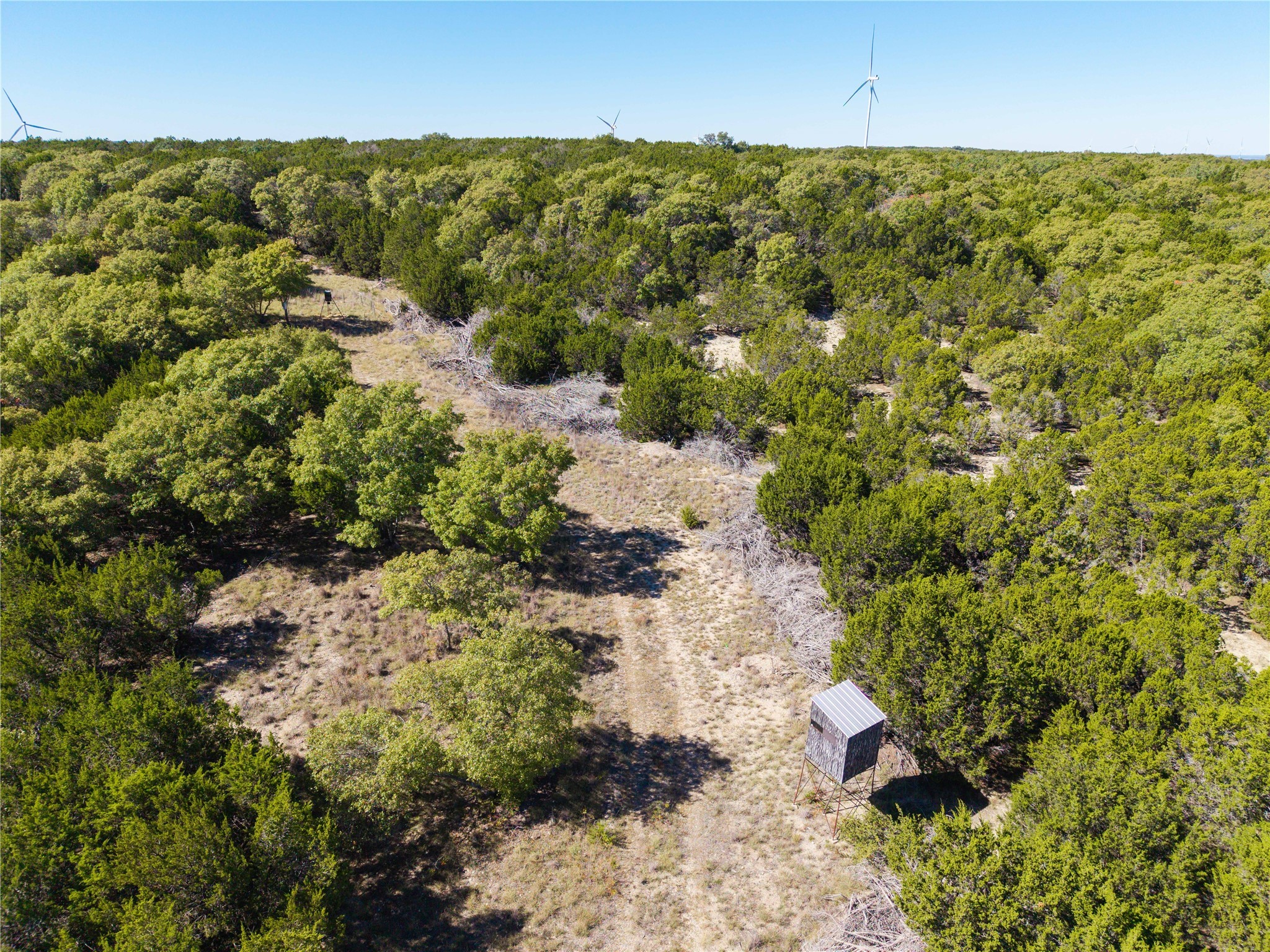 52 Acres Cr-407 Road Cross Plains TX 75232