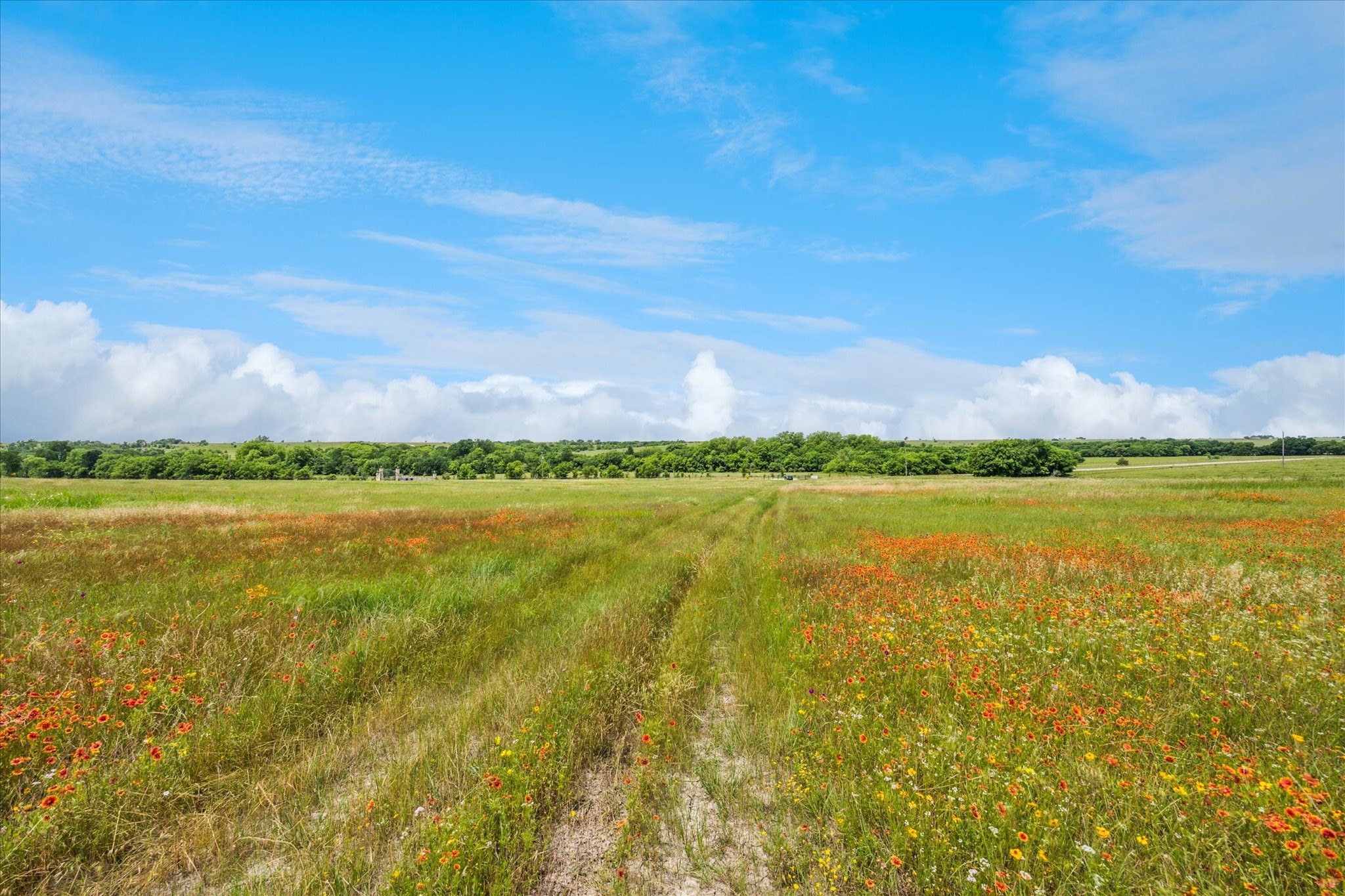Tbd Fm 373 S Muenster TX 76252