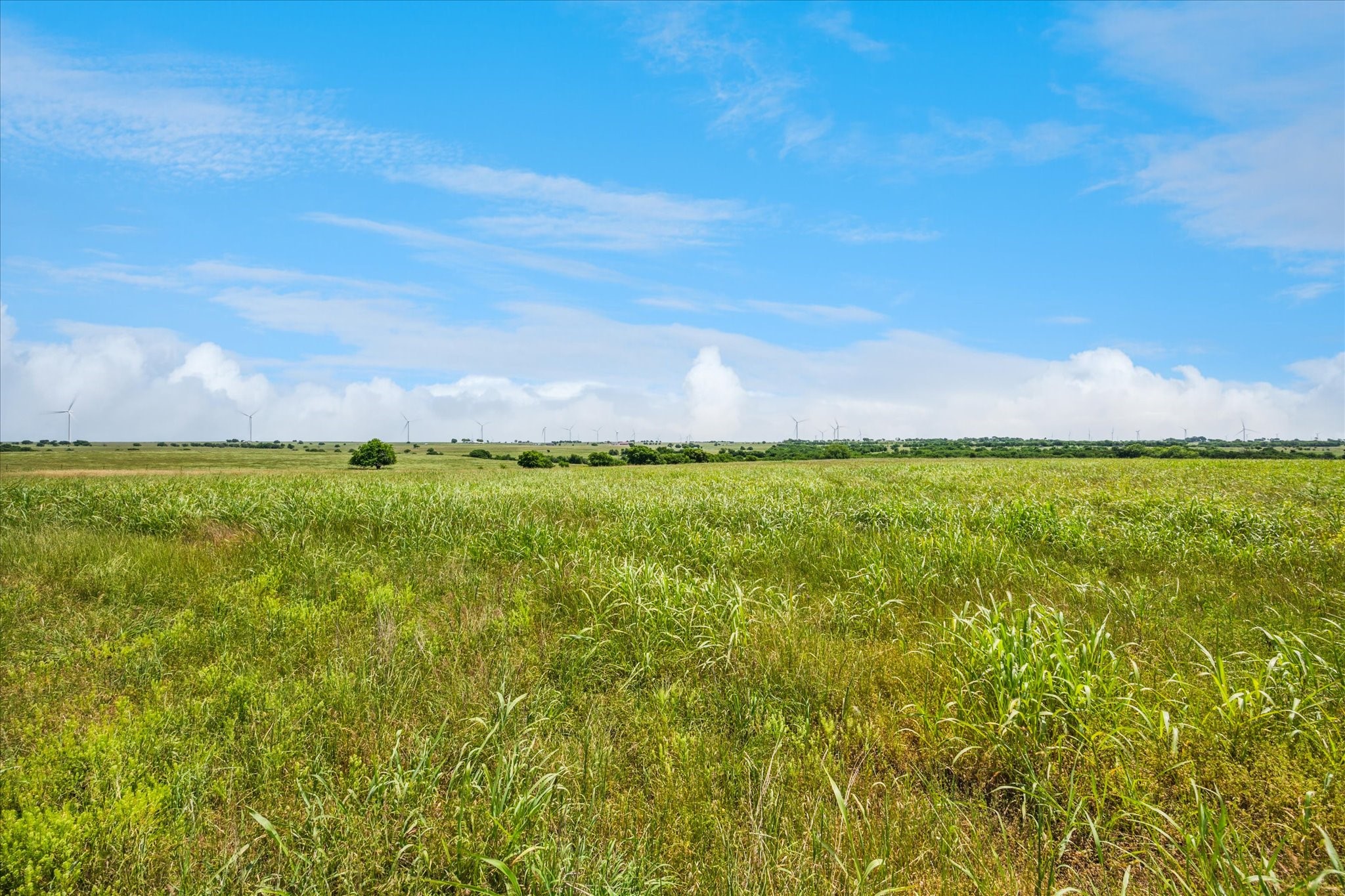 Tbd Fm 373 S Muenster TX 76252