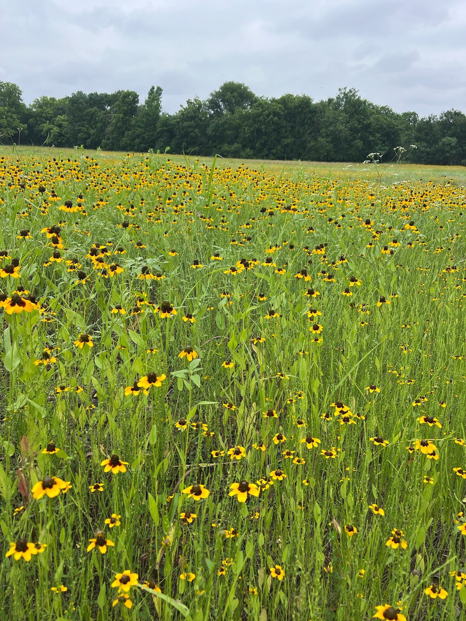 Tbd Cr 3525 Honey Grove TX 75446