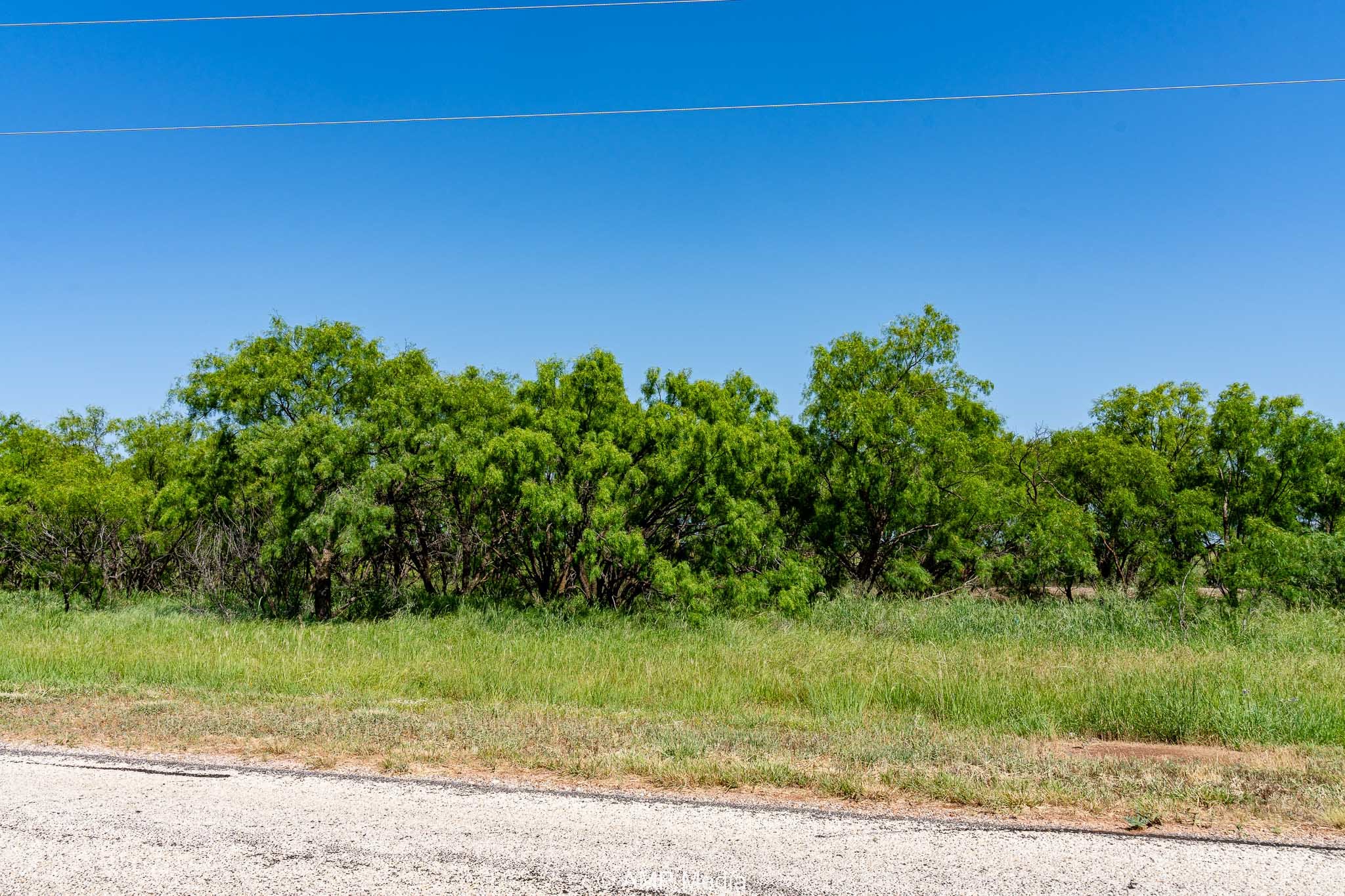 Fm 2142 Fm 2142 Rotan TX 79546