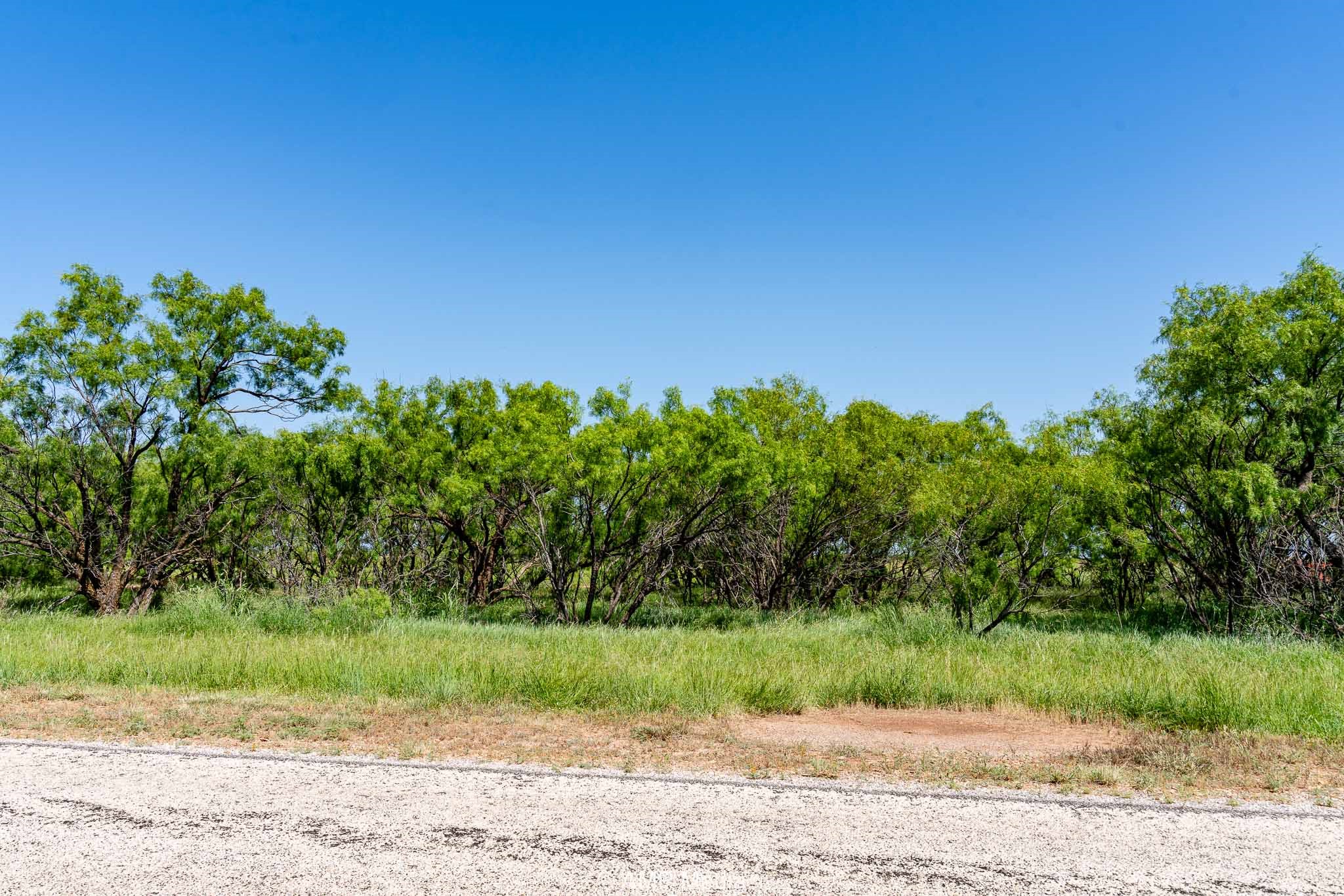 Fm 2142 Fm 2142 Rotan TX 79546