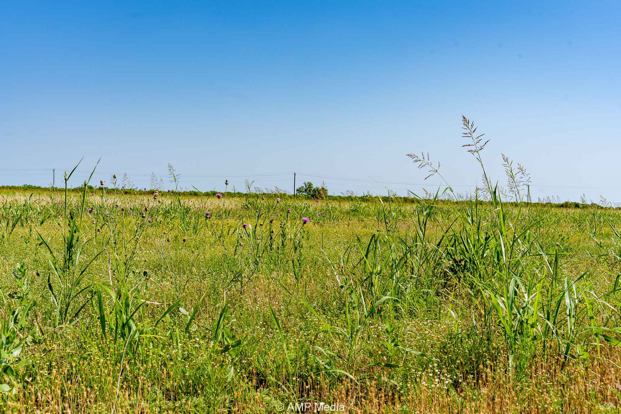 Fm 2142 Fm 2142 Rotan TX 79546