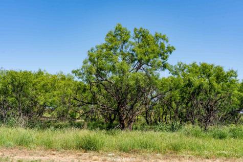 FM 2142 Fm 2142 Rotan TX 79546