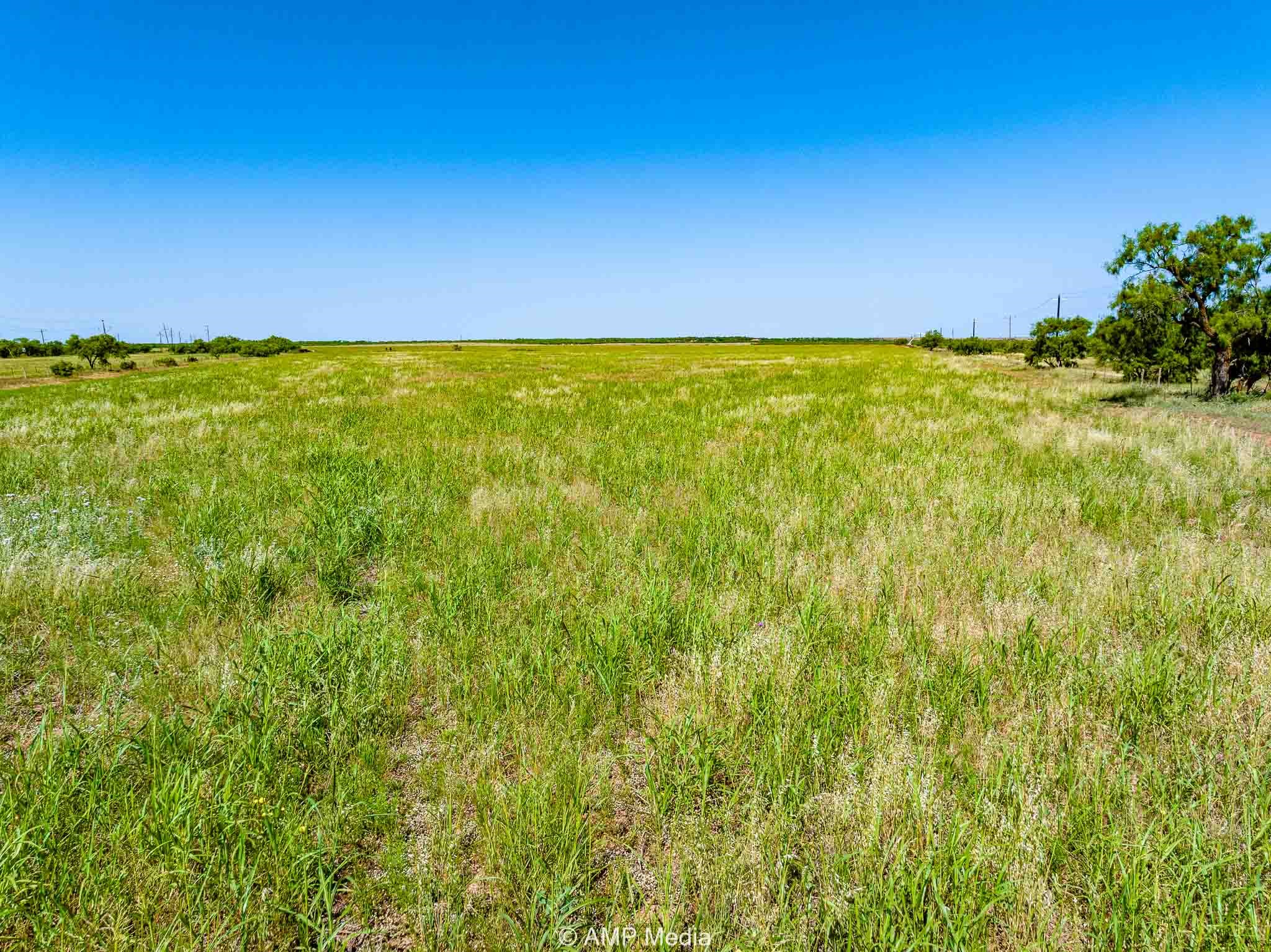 Fm 2142 Fm 2142 Rotan TX 79546
