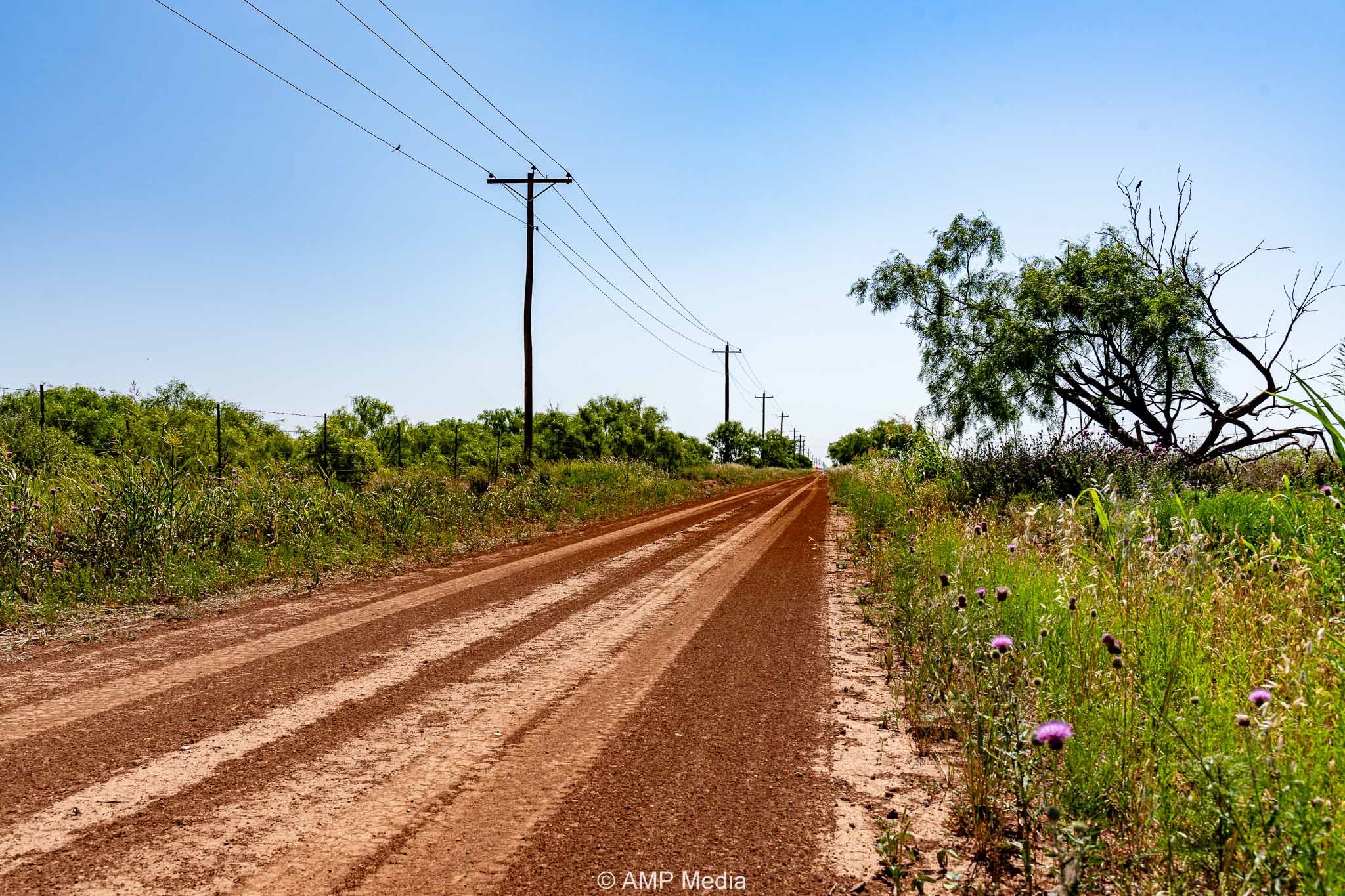 Fm 2142 Fm 2142 Rotan TX 79546