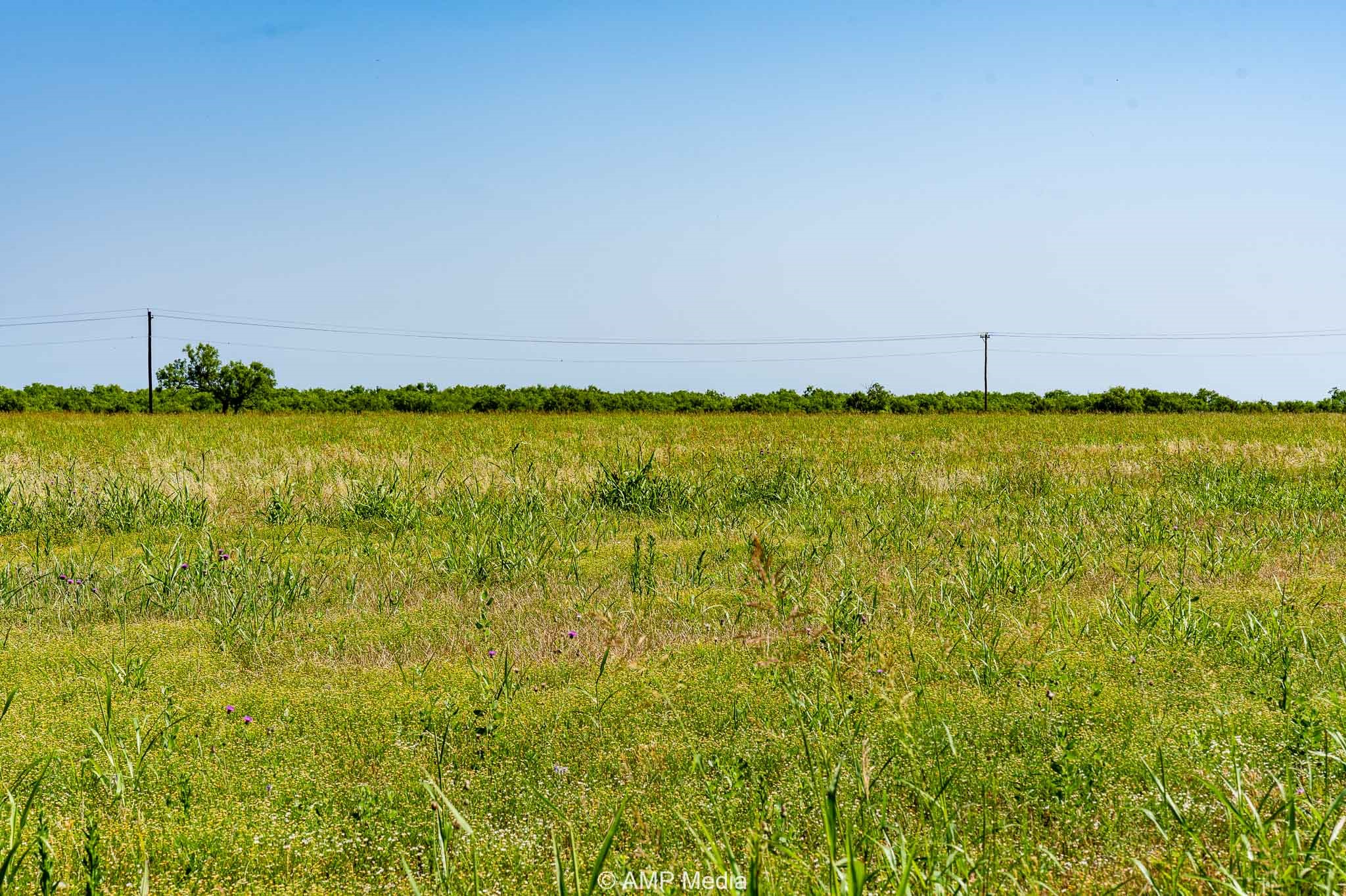 Fm 2142 Fm 2142 Rotan TX 79546