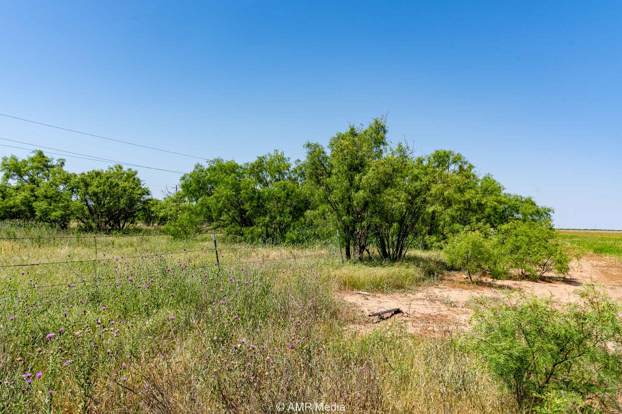 Fm 2142 Fm 2142 Rotan TX 79546