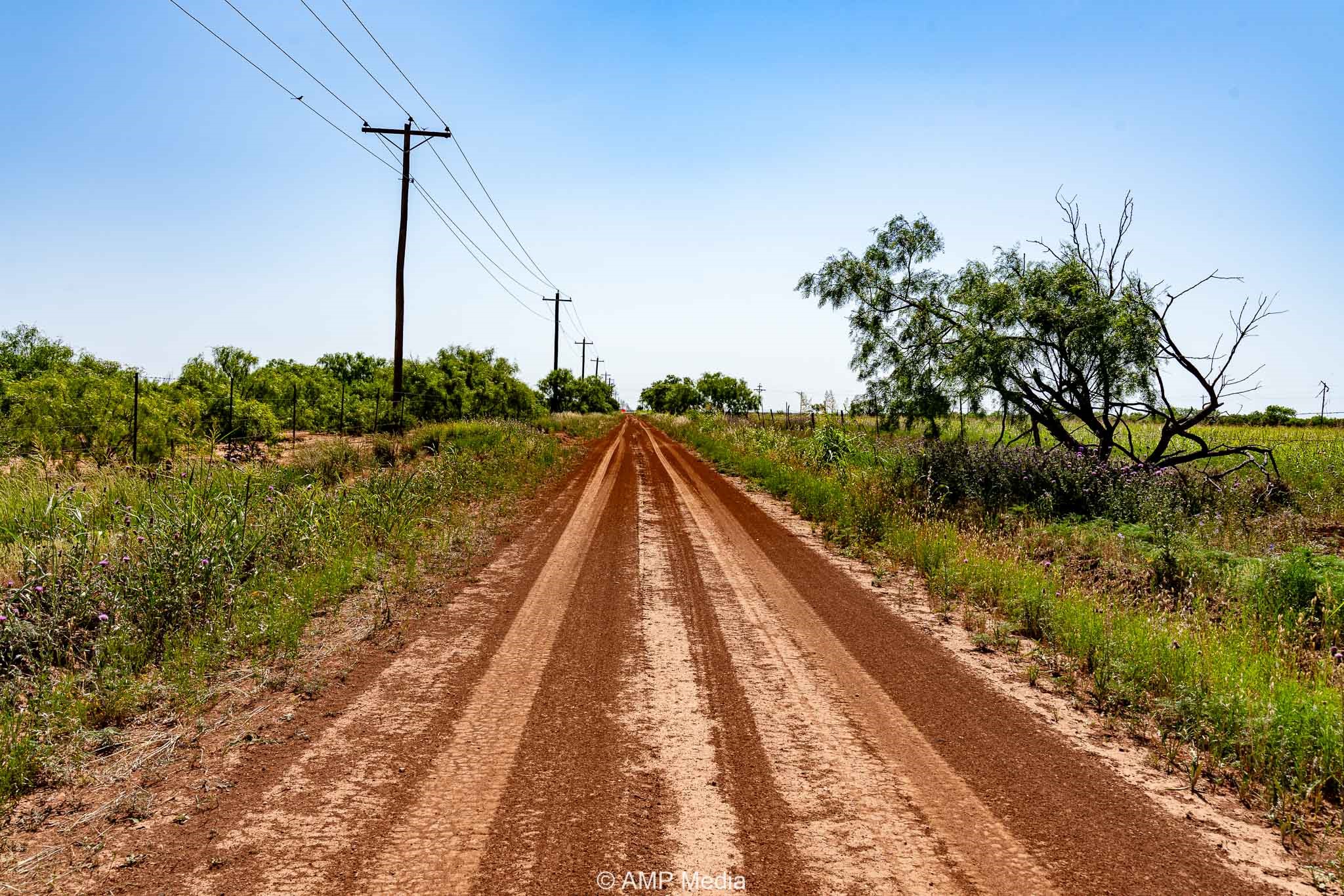 Fm 2142 Fm 2142 Rotan TX 79546