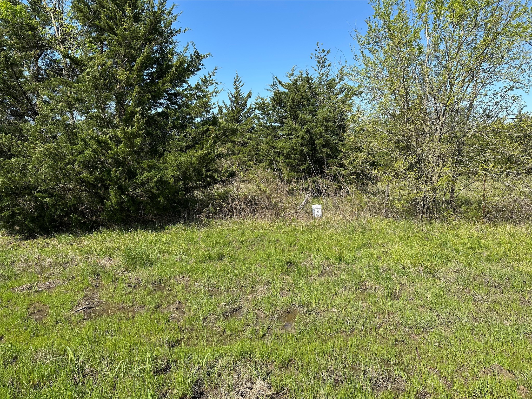 Tract 4 Farm To Market 1743 Honey Grove TX 75446