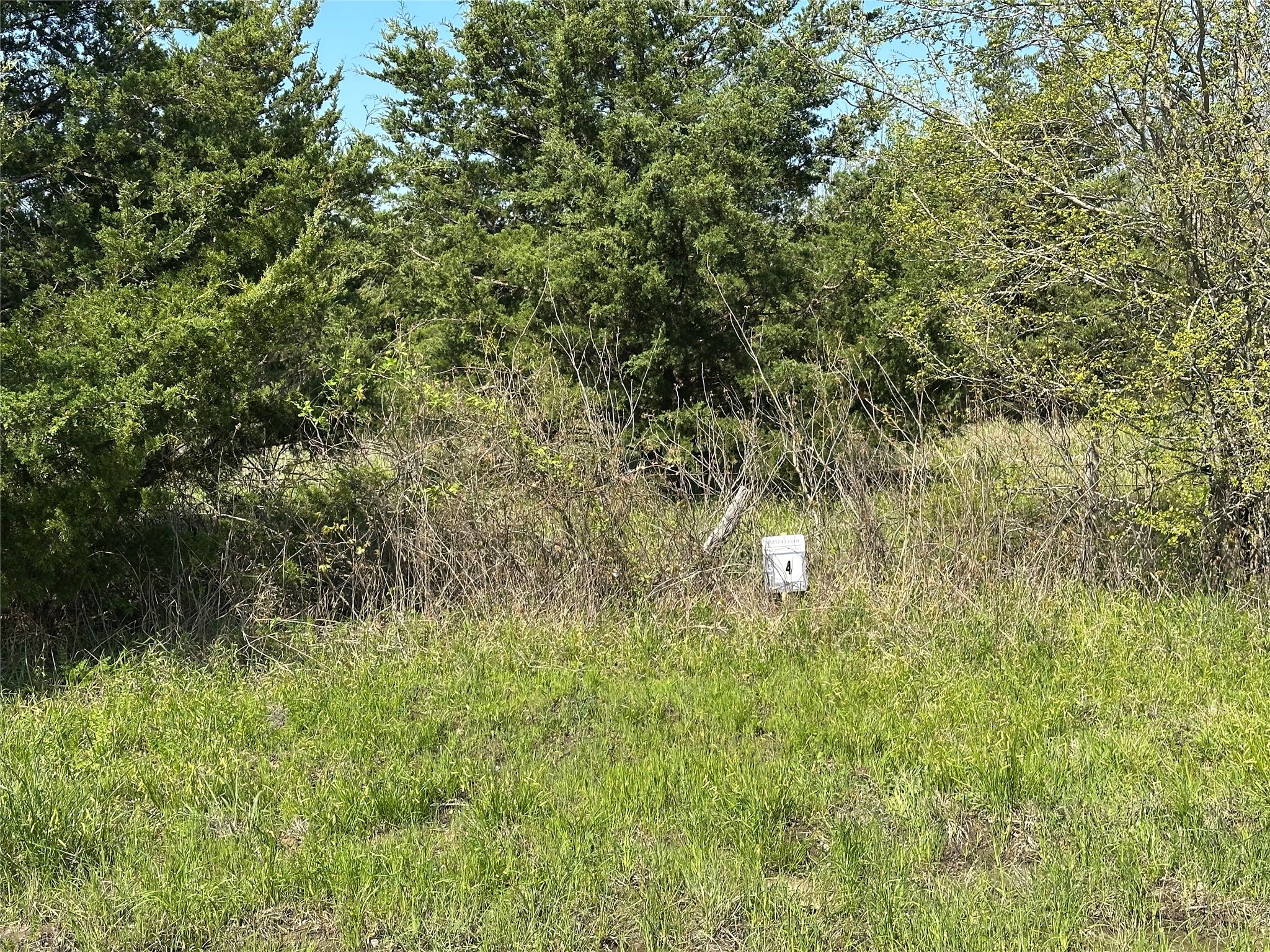 Tract 4 Farm To Market 1743 Honey Grove TX 75446
