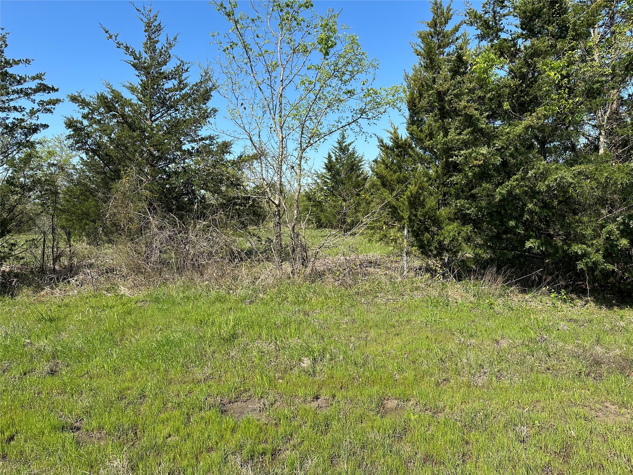 Tract 4 Farm To Market 1743 Honey Grove TX 75446