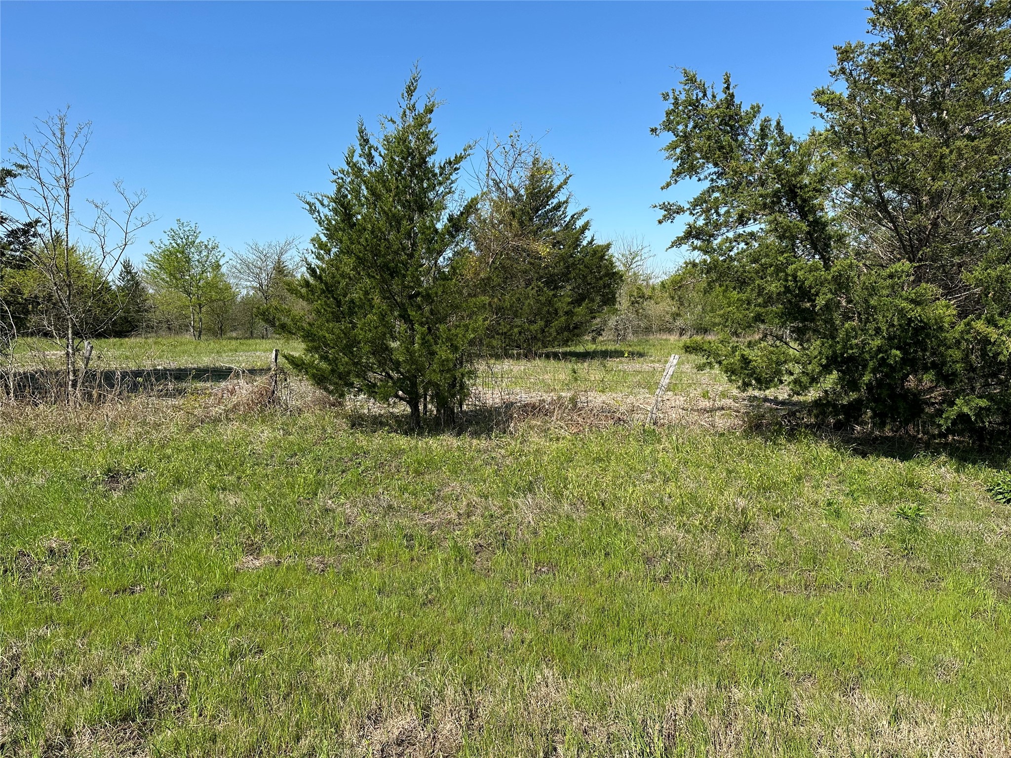 Tract 4 Farm To Market 1743 Honey Grove TX 75446