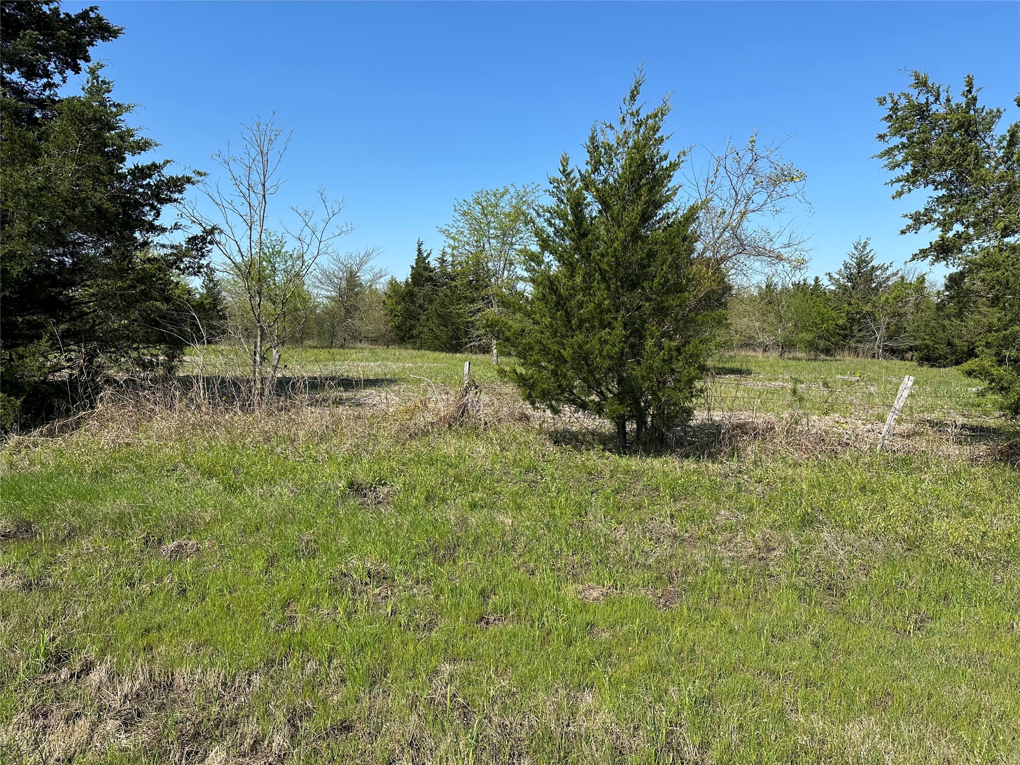 Tract 4 Farm To Market 1743 Honey Grove TX 75446