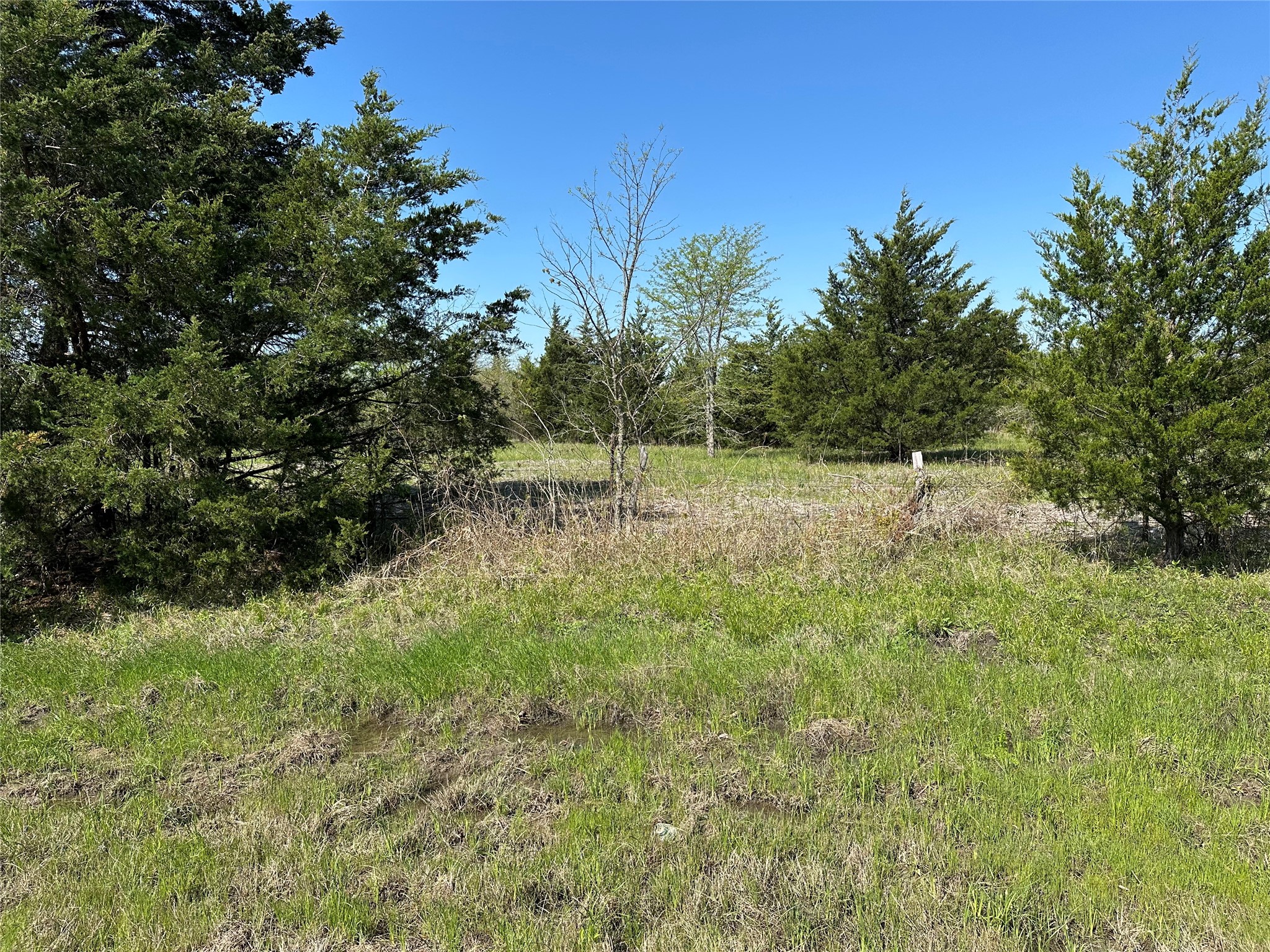 Tract 4 Farm To Market 1743 Honey Grove TX 75446
