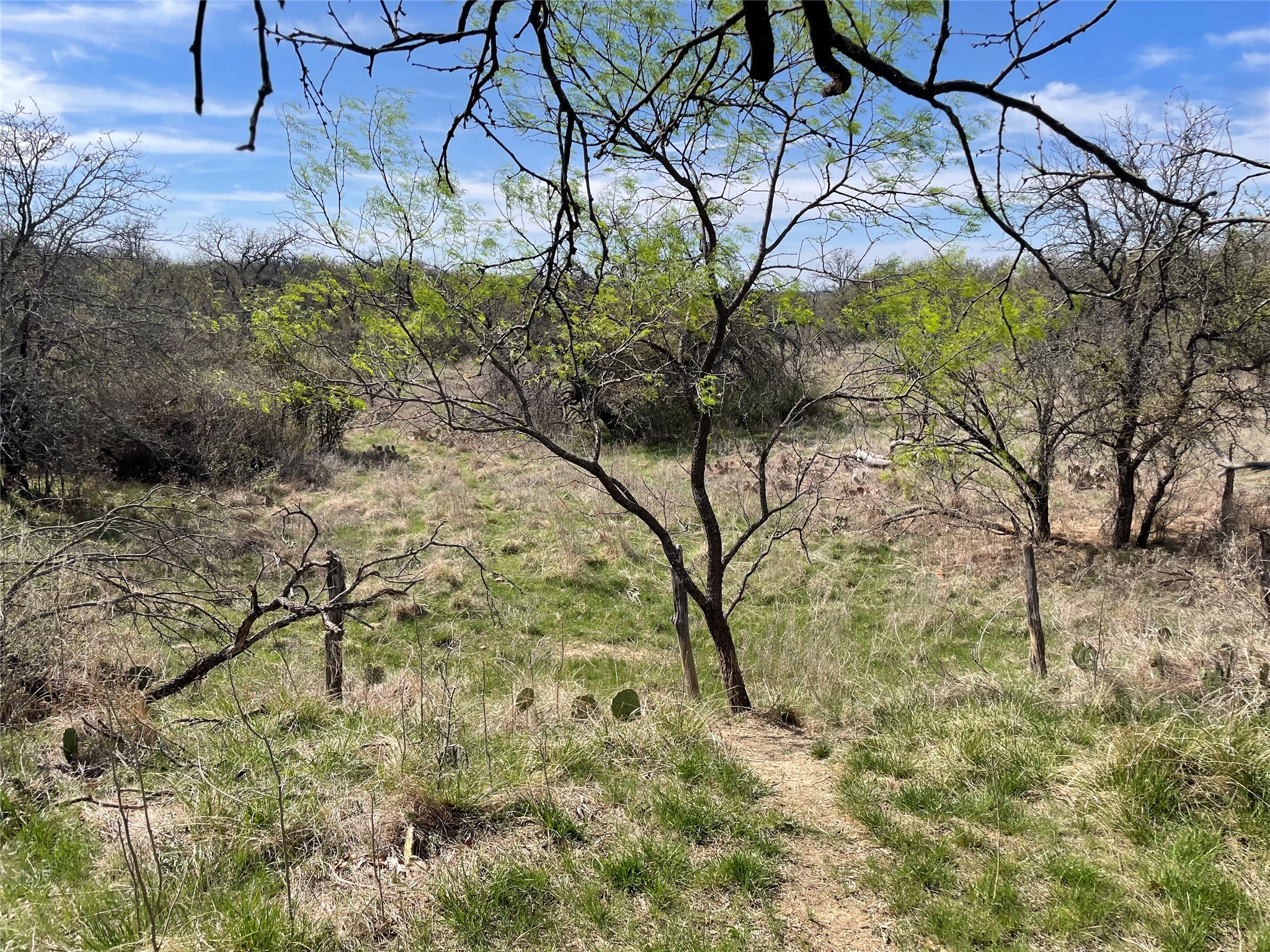 Tbd C R 195 Breckenridge TX 76424