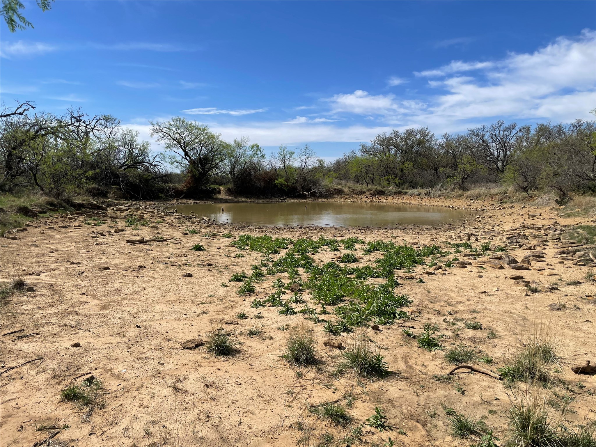 Tbd C R 195 Breckenridge TX 76424