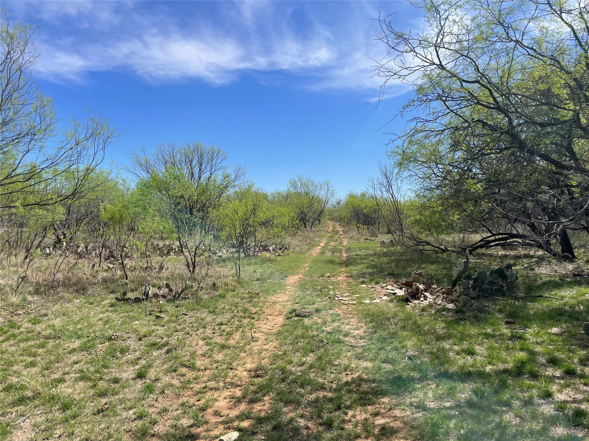 Tbd C R 195 Breckenridge TX 76424