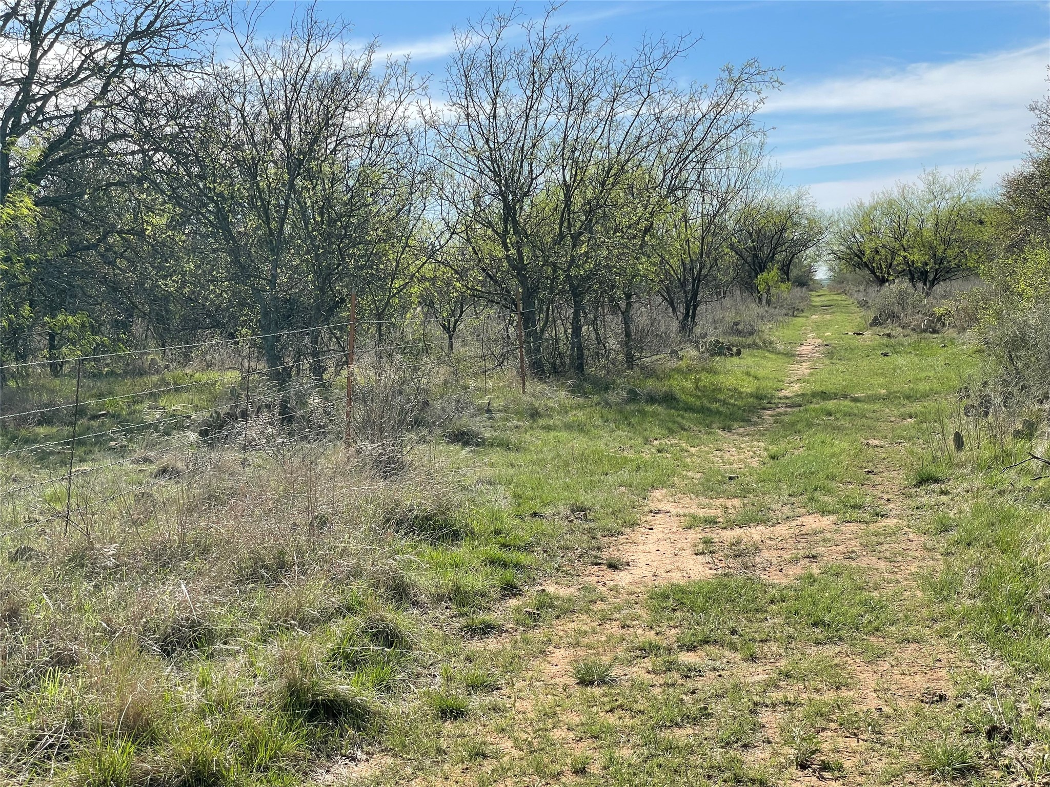 Tbd C R 195 Breckenridge TX 76424