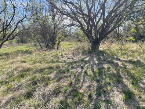 Tbd C R 195 Breckenridge TX 76424