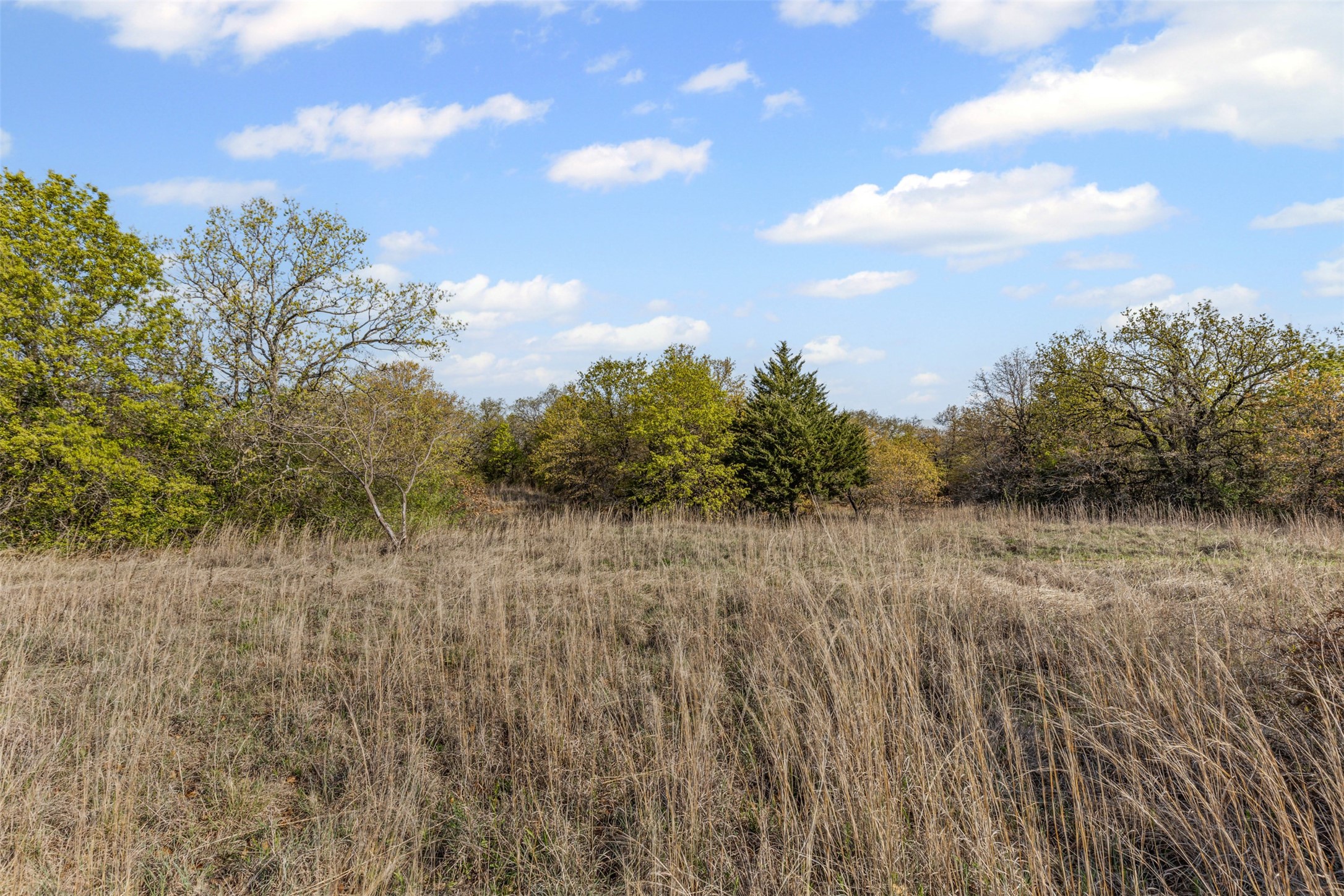 05 County Road 3855 Bridgeport TX 76426