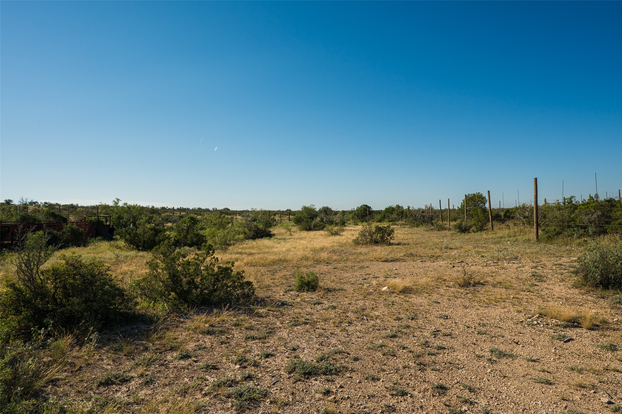 Tbd Fm 2400 And 349 Sanderson TX 79781