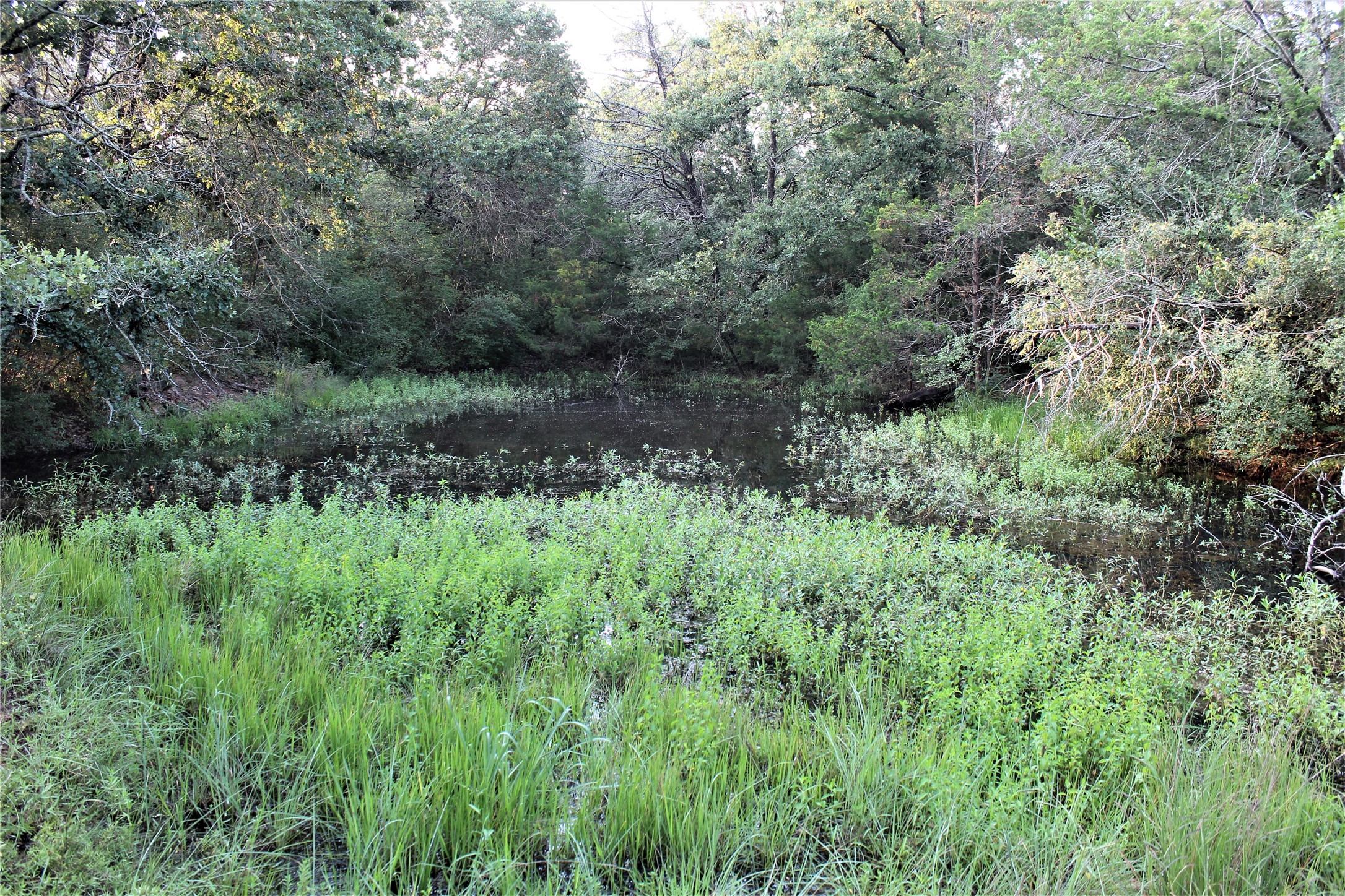29 Co Road 271a Cameron TX 76520