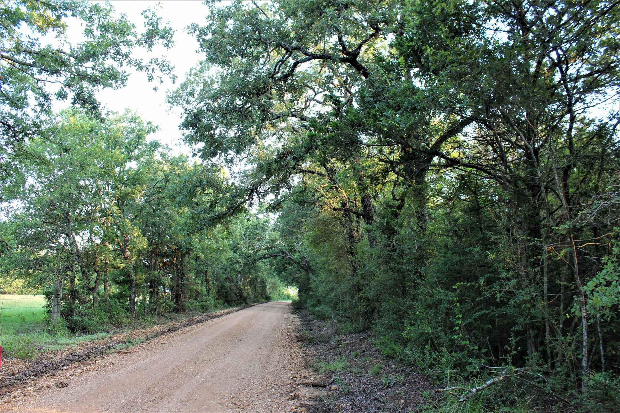 29 Co Road 271a Cameron TX 76520