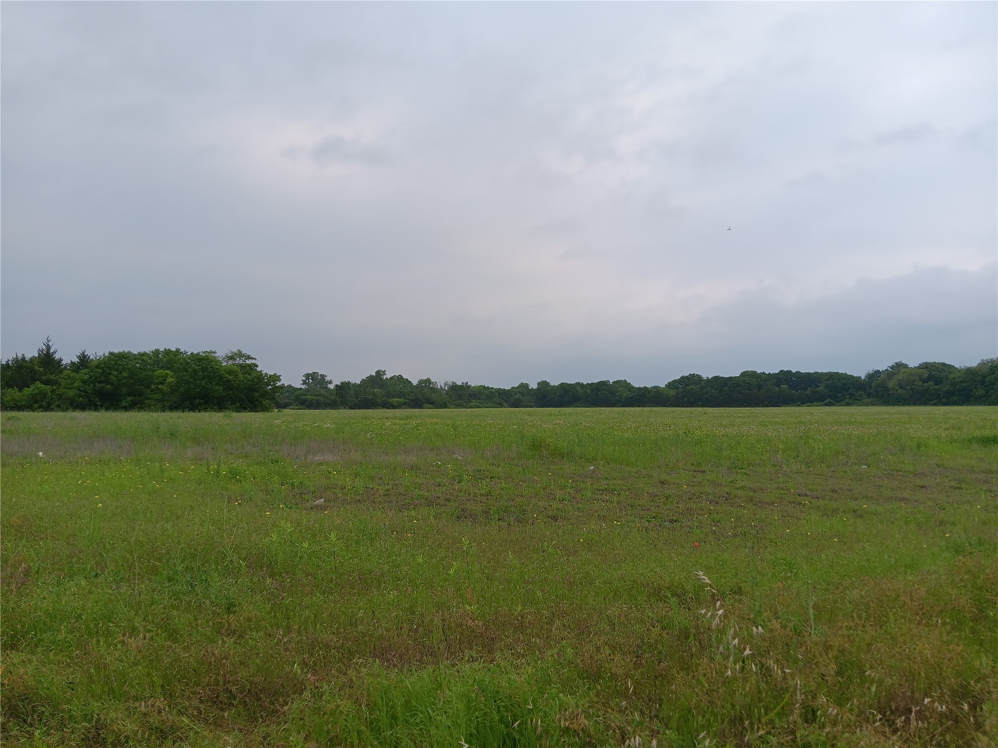1400 W Wintergreen Road Lancaster TX 75134