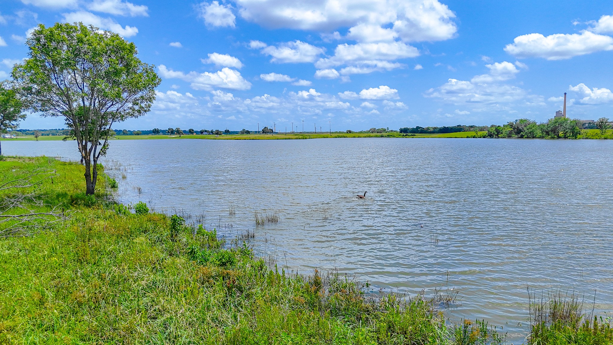 Lot 212 Waterfront Club Drive Corsicana TX 75110