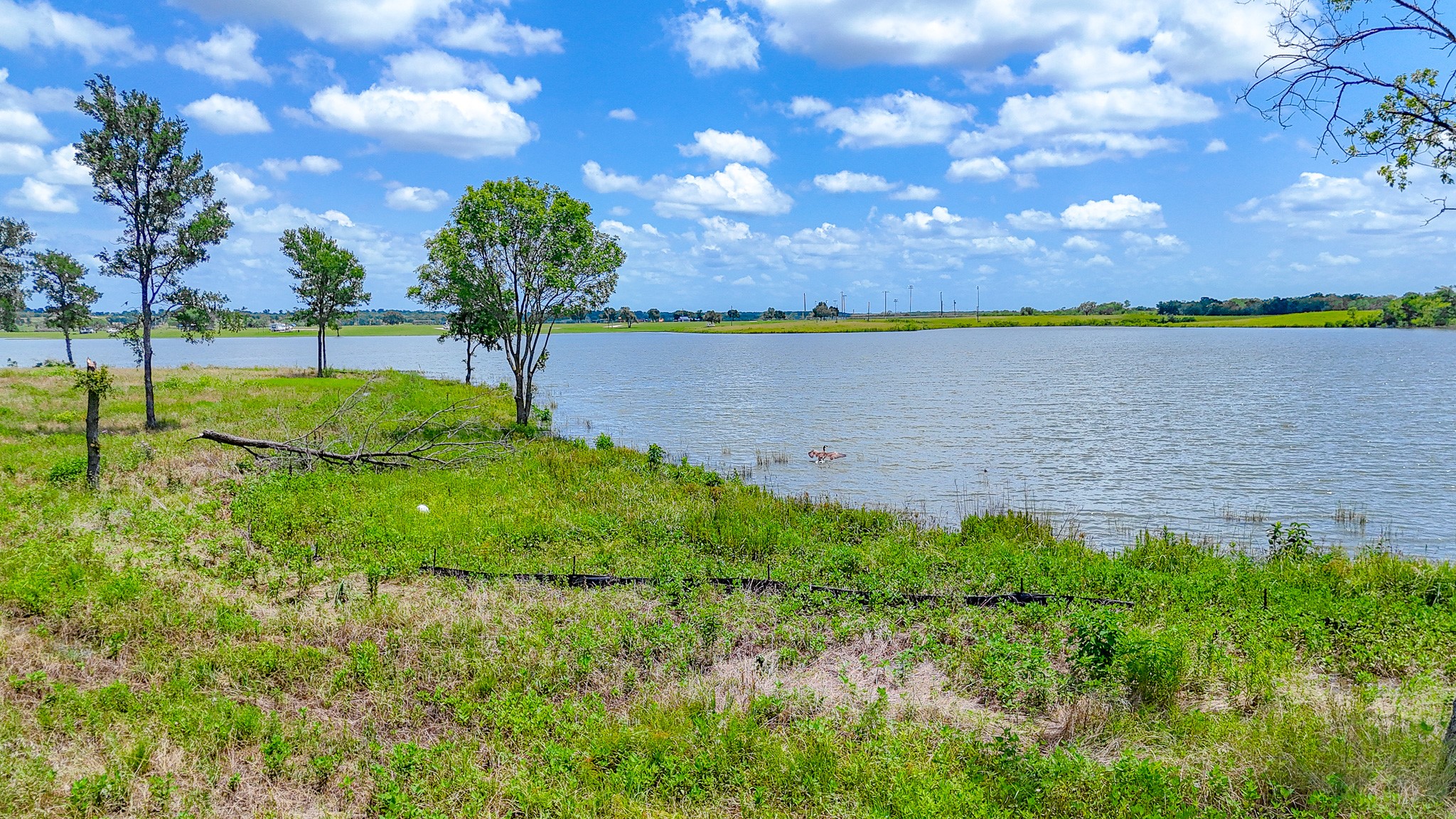 Lot 212 Waterfront Club Drive Corsicana TX 75110