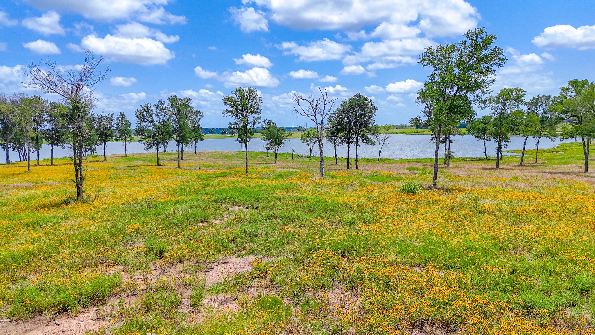 Lot 212 Waterfront Club Drive Corsicana TX 75110