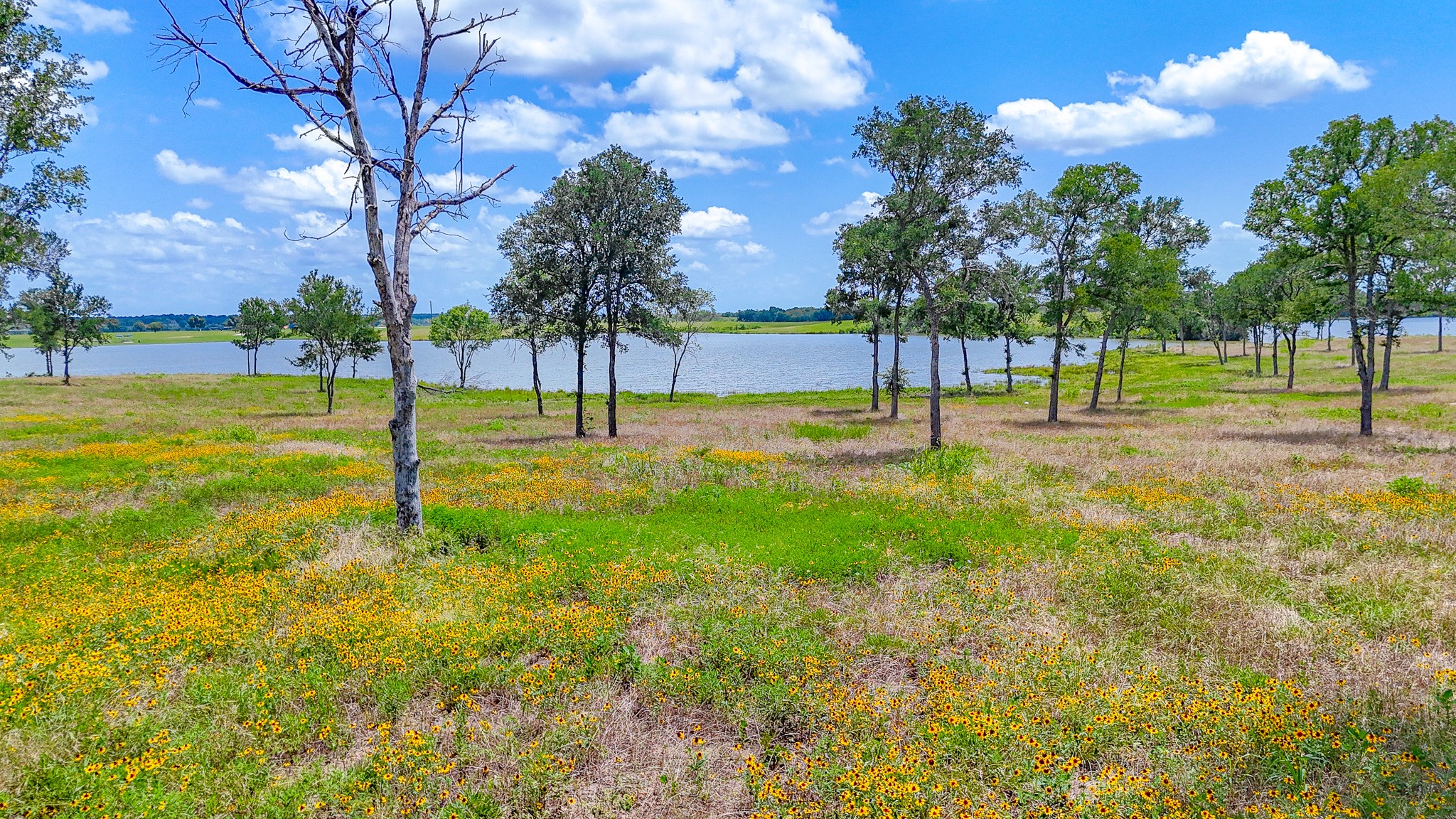 Lot 212 Waterfront Club Drive Corsicana TX 75110