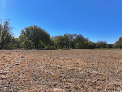14923 Mitchell Bend Court Granbury TX 76048