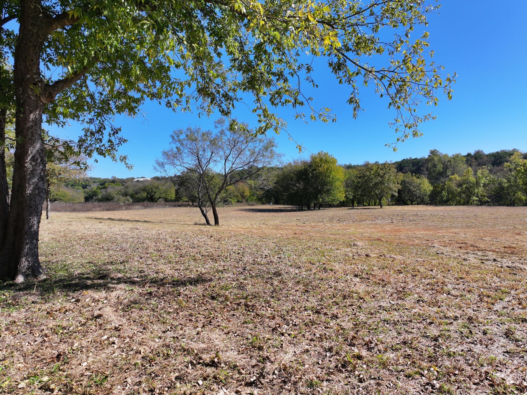 14923 Mitchell Bend Court Granbury TX 76048