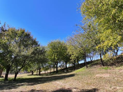 14923 Mitchell Bend Court Granbury TX 76048
