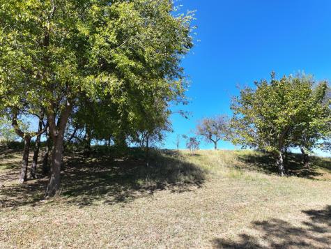 14923 Mitchell Bend Court Granbury TX 76048