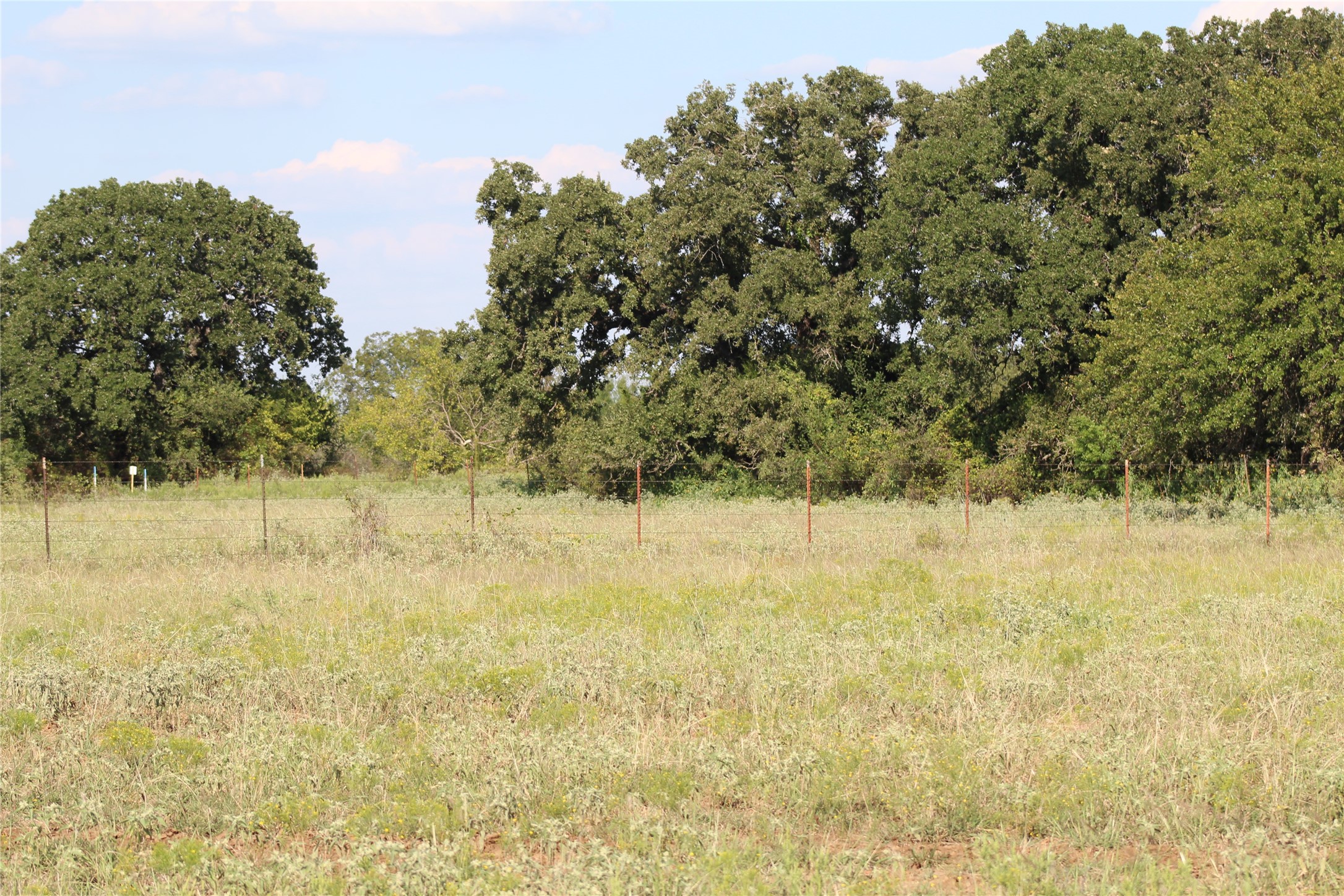 1179 Cr 1470 Chico TX 76431