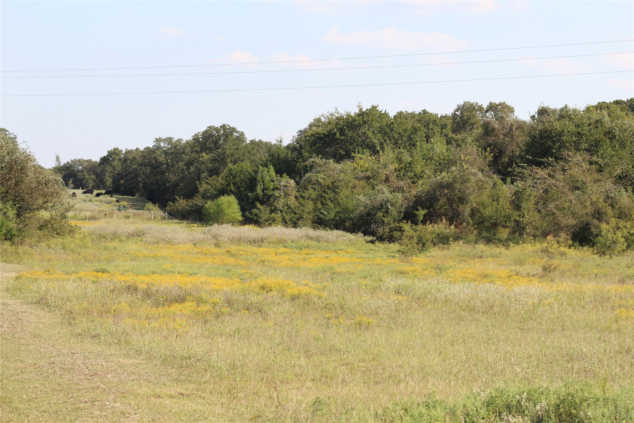 1179 Cr 1470 Chico TX 76431