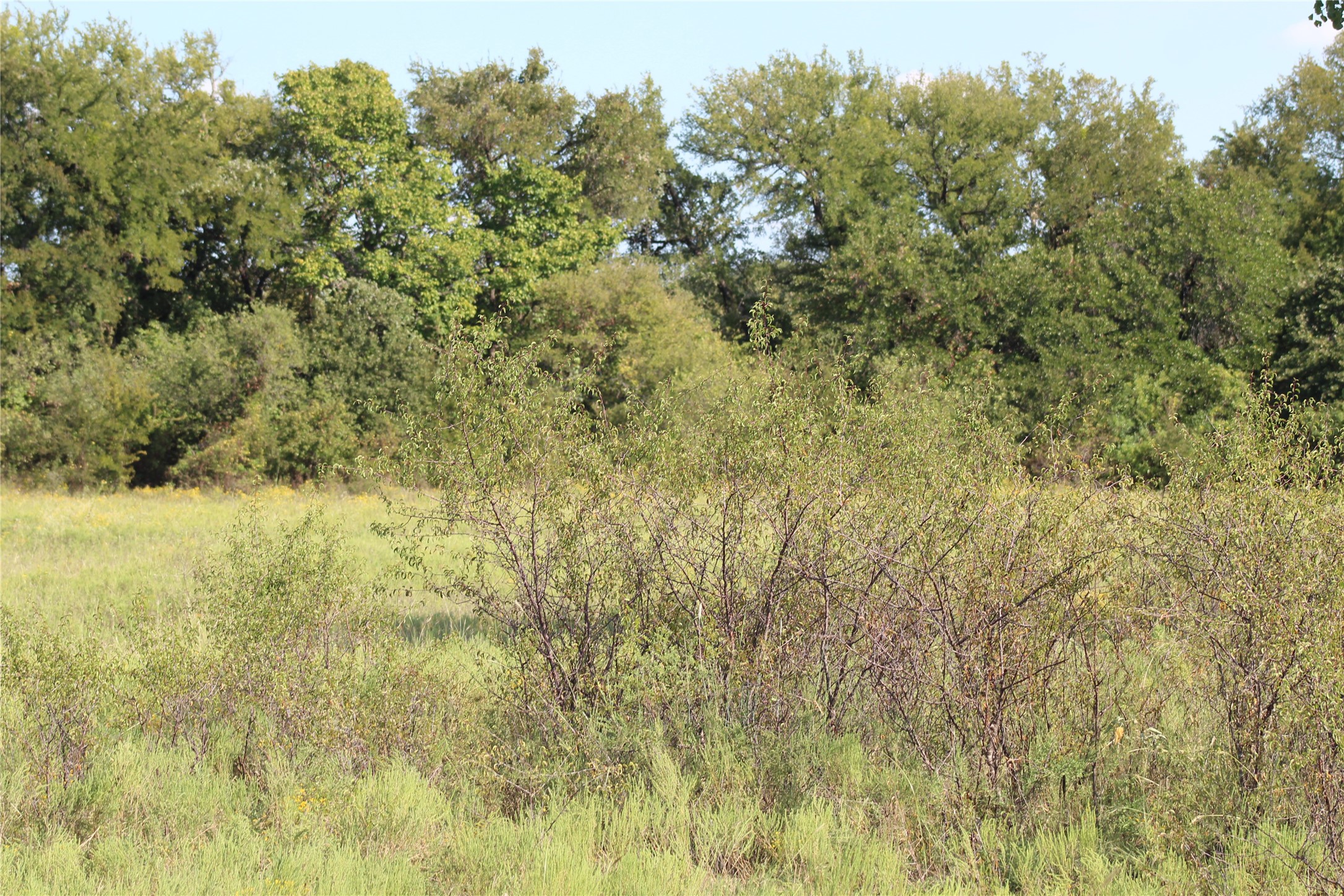 1179 Cr 1470 Chico TX 76431