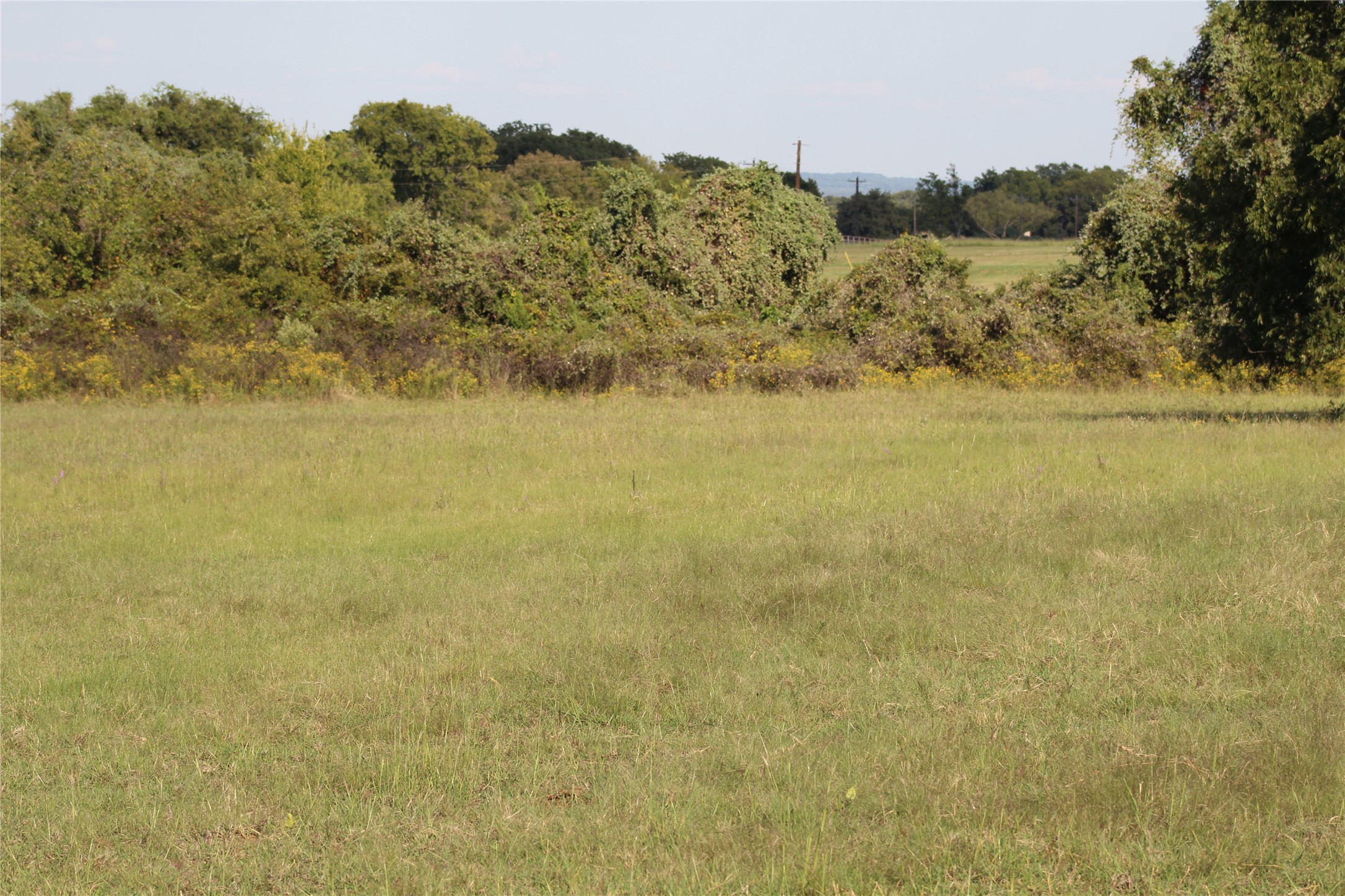 1179 Cr 1470 Chico TX 76431