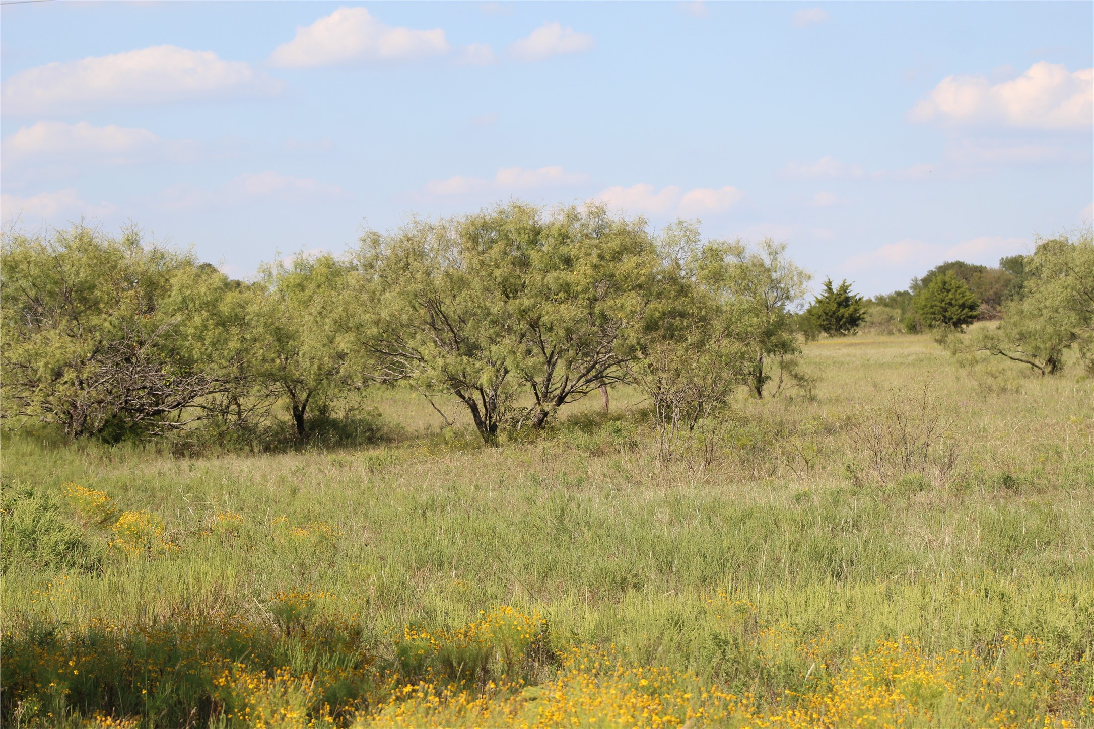 1179 Cr 1470 Chico TX 76431
