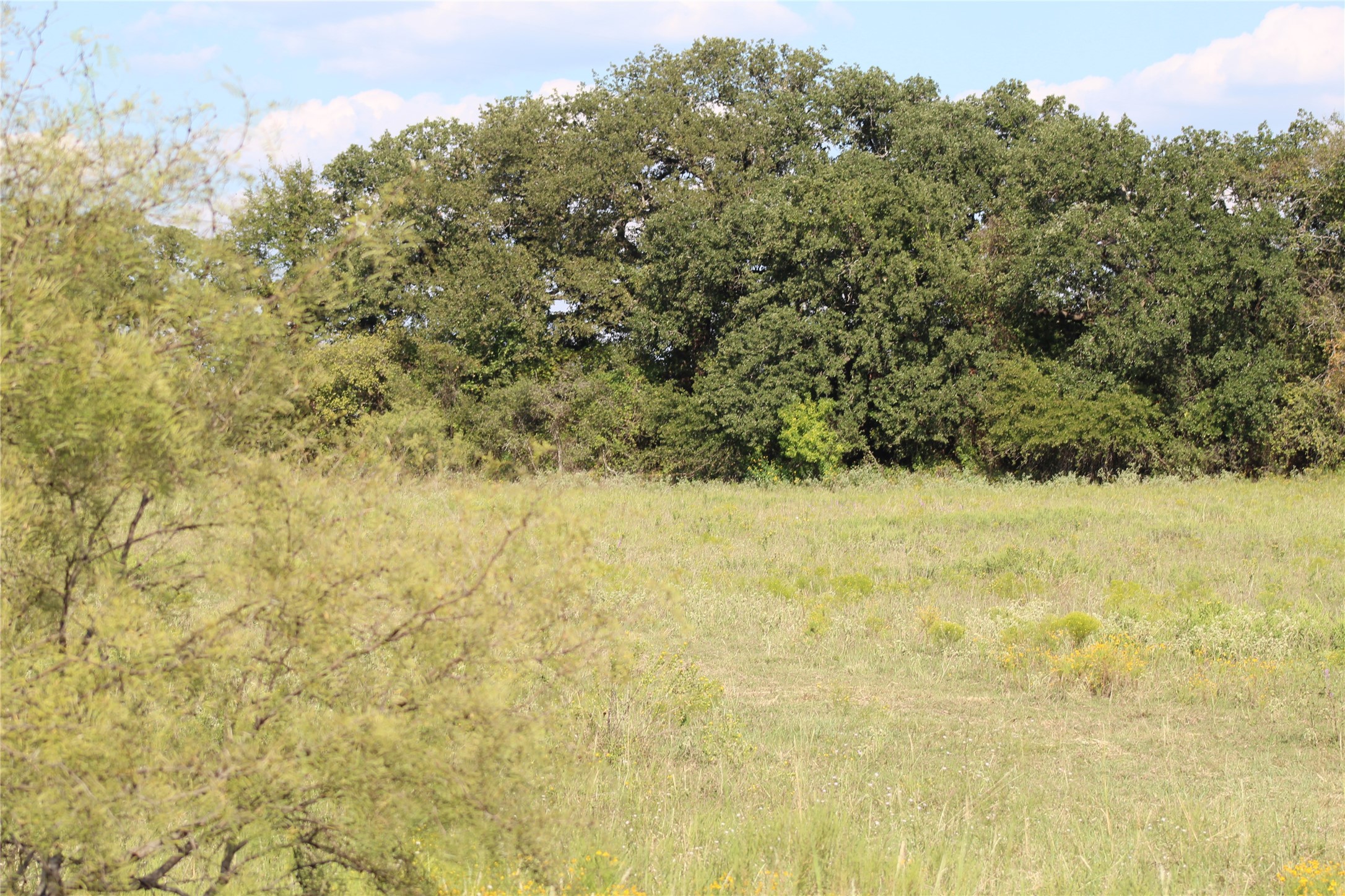 1179 Cr 1470 Chico TX 76431