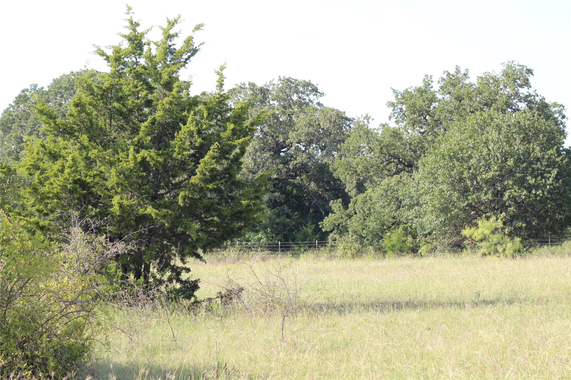 1179 Cr 1470 Chico TX 76431
