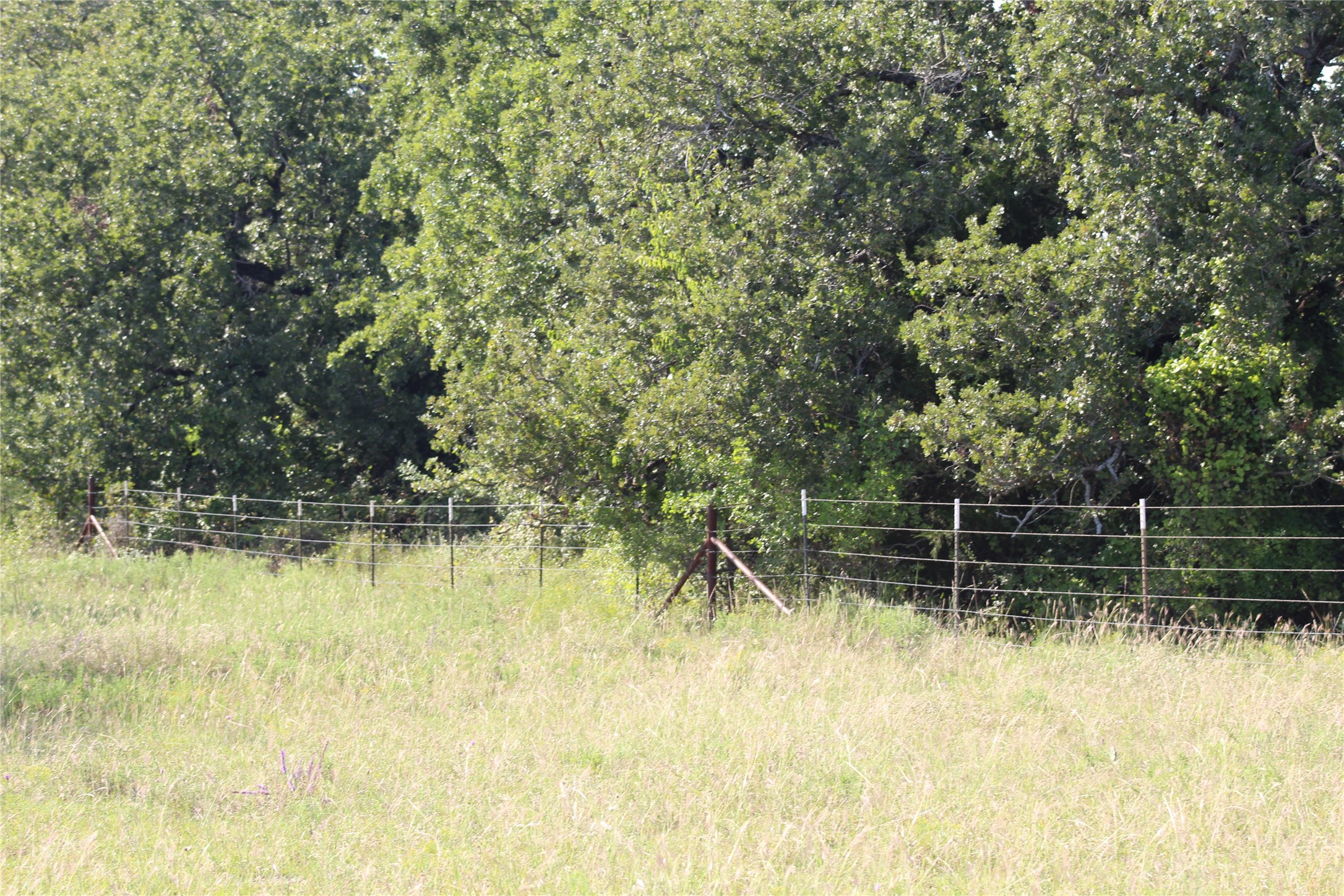 1179 Cr 1470 Chico TX 76431